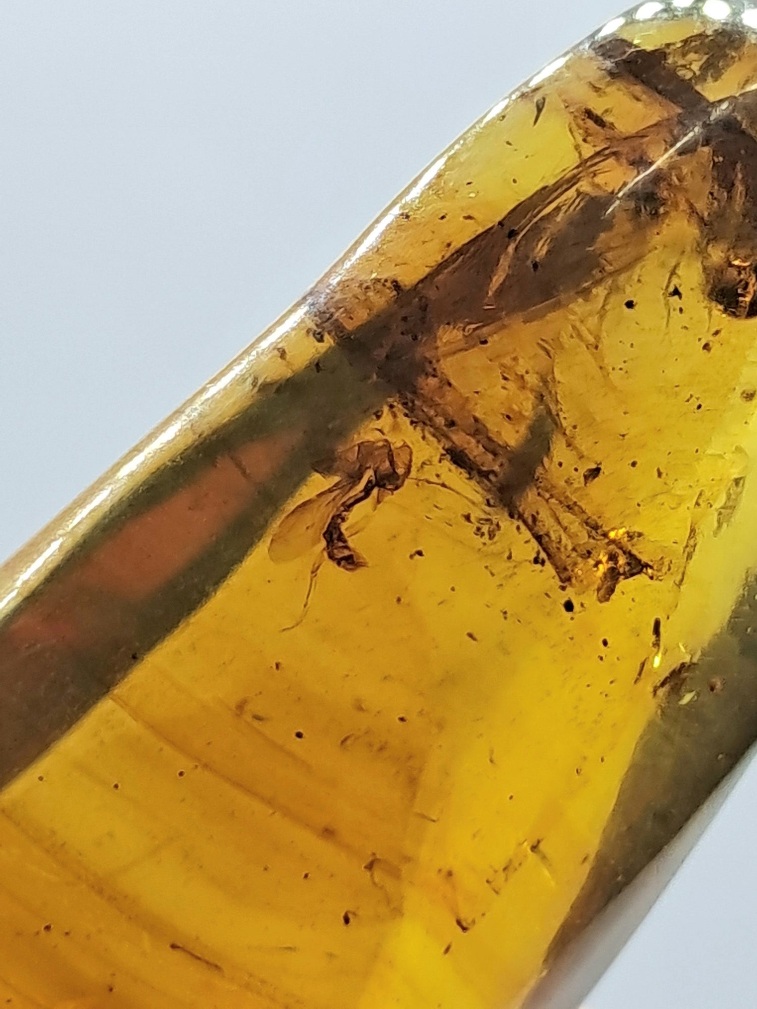 Amber