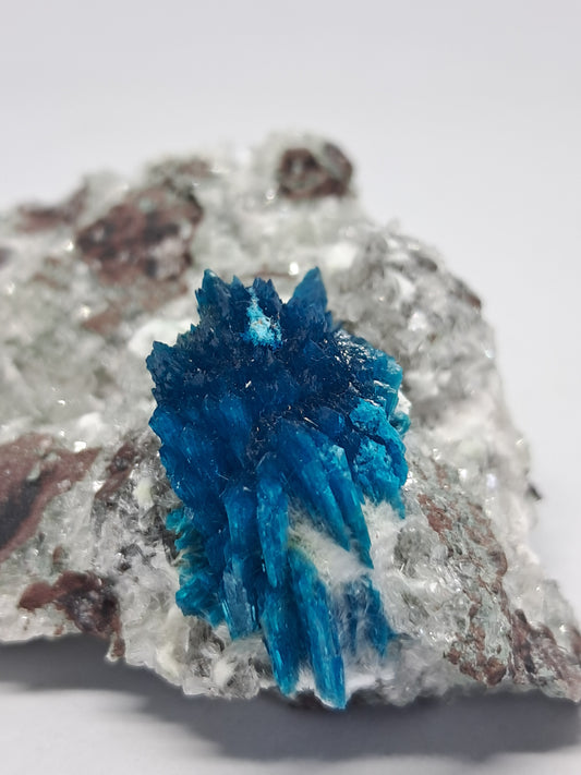 Bladed Cavansite on Heulandite Matrix (Wagholi) *High Grade* Rough Stone | Natural Crystal | Rare Formation |Mineral Specimen #CV1