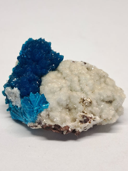 Cavansite on Heulandite Matrix (Pune) *High Quality* Rough Stone | Natural Crystal | Rare Mineral Specimen#CV5
