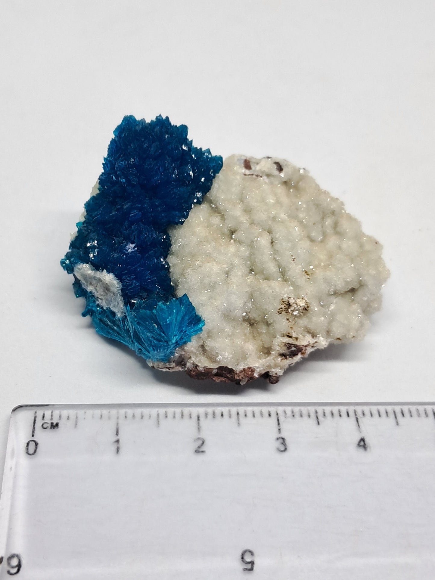 Cavansite on Heulandite Matrix (Pune) *High Quality* Rough Stone | Natural Crystal | Rare Mineral Specimen#CV5