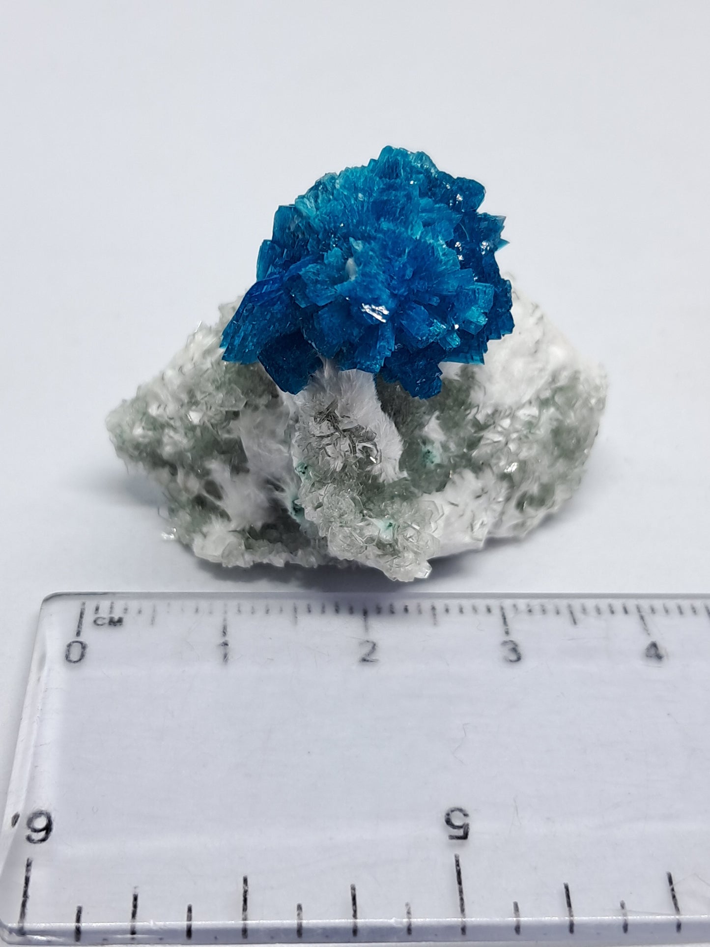 Bladed Cavansite on Heulandite Matrix (Wagholi) *High Grade* Rough Stone | Natural Crystal | Rare Mineral Specimen #CV7