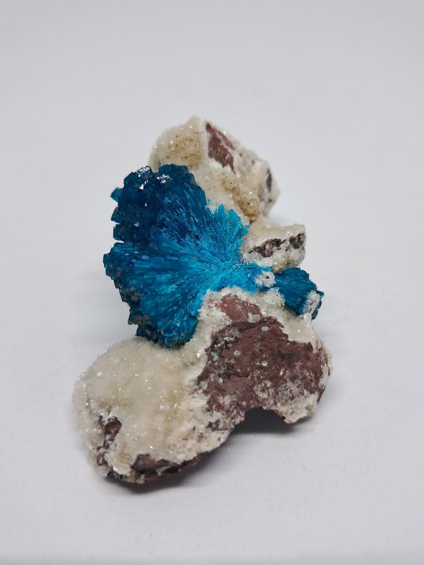 Cavansite On Heulandite Matrix (Pune) *High Quality* Rough Stone | Natural Crystal | Rare Mineral Specimen#CV8