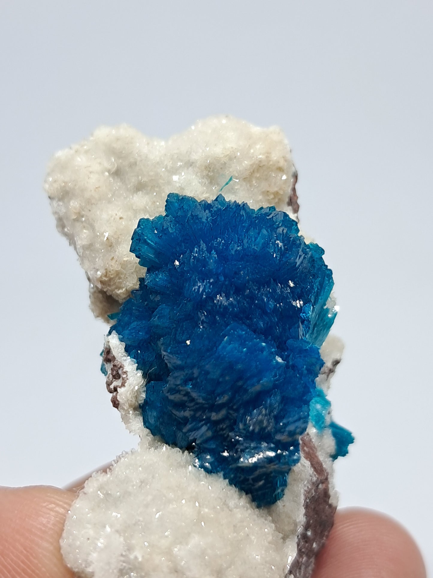 Cavansite On Heulandite Matrix (Pune) *High Quality* Rough Stone | Natural Crystal | Rare Mineral Specimen#CV8