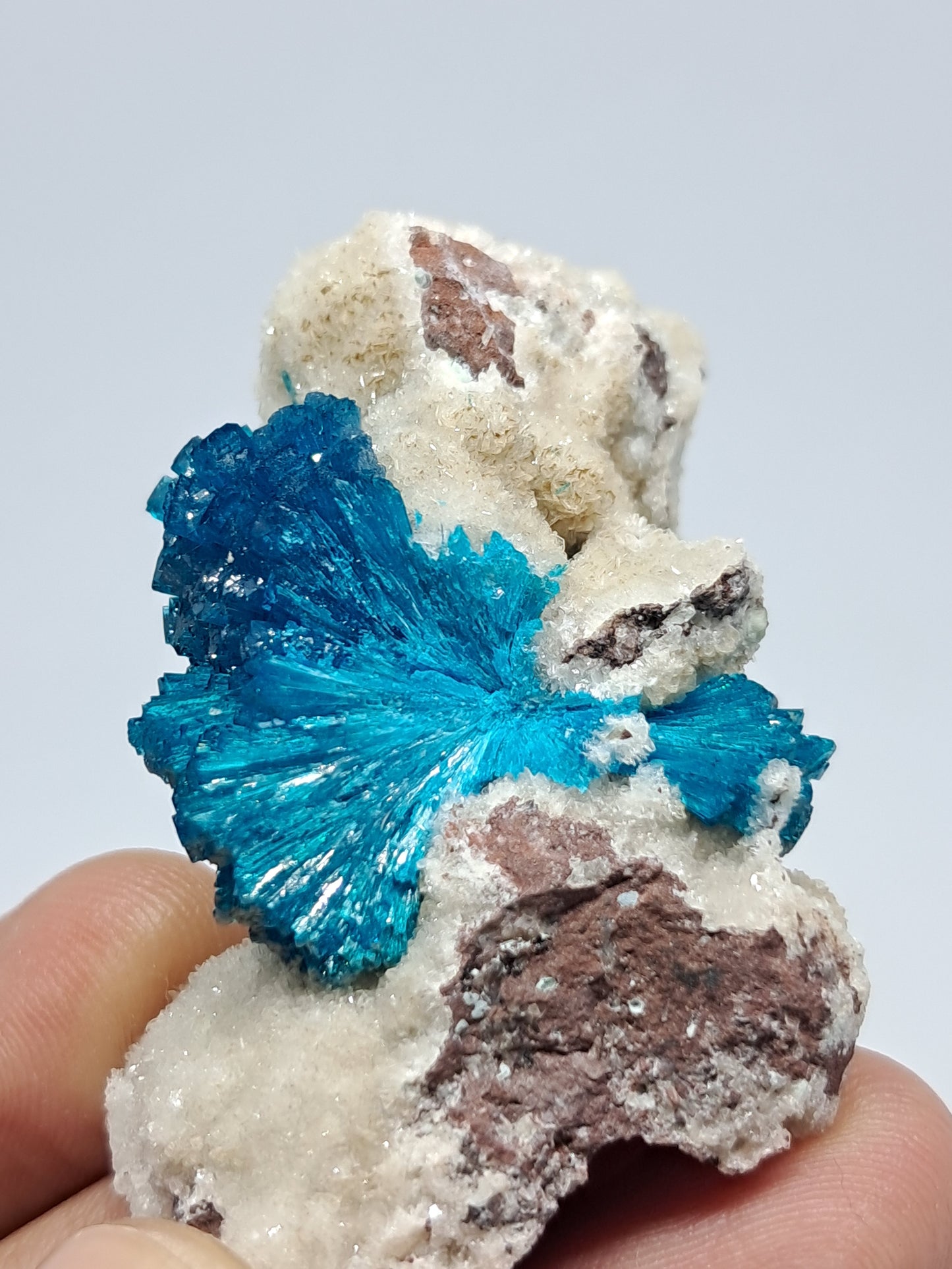 Cavansite On Heulandite Matrix (Pune) *High Quality* Rough Stone | Natural Crystal | Rare Mineral Specimen#CV8
