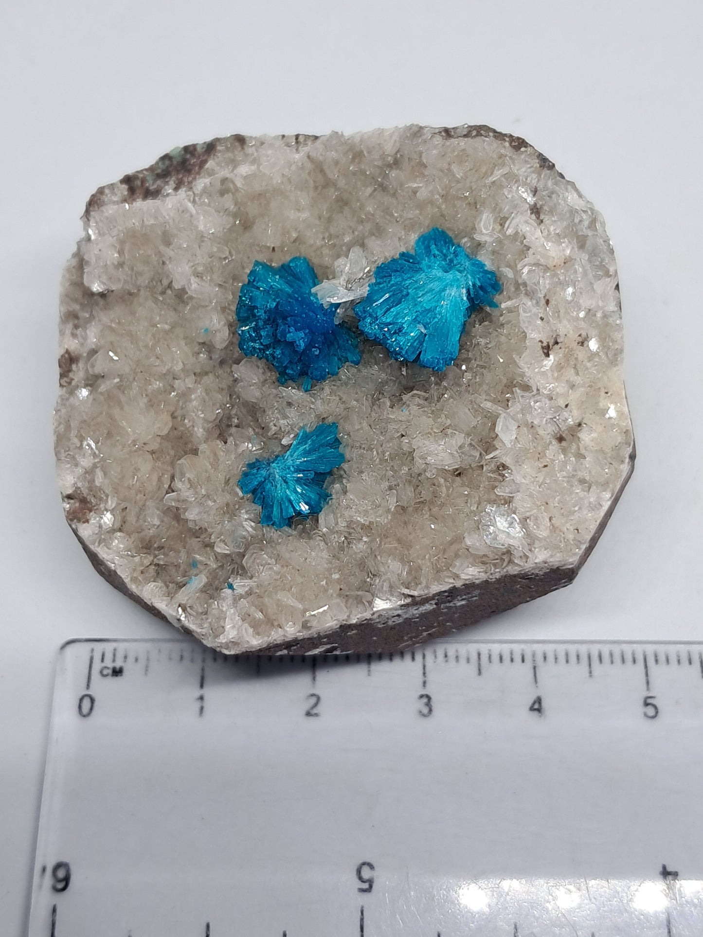 Three Cavansites On Heulandite Matrix (Wagholi) Rough Stone | Natural Crystal | Rare Mineral Specimen#CV9