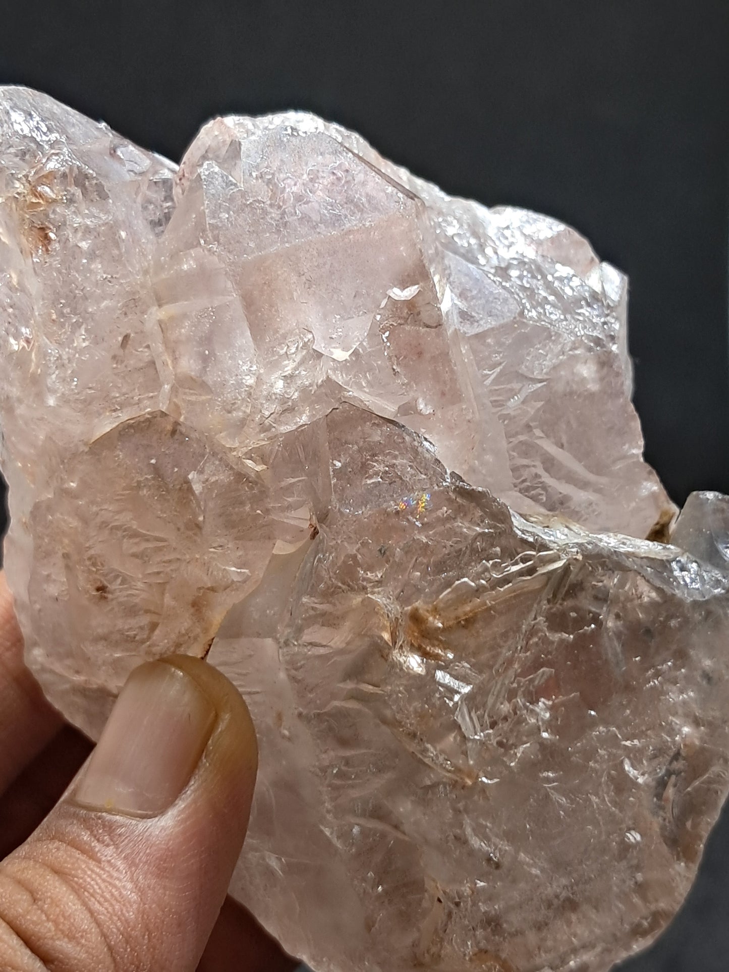 Elestial Quartz w/ Amethyst and Hematite Inclusions (Karur) Raw Natural Crystal Stone | Mineral Specimen #EQ9