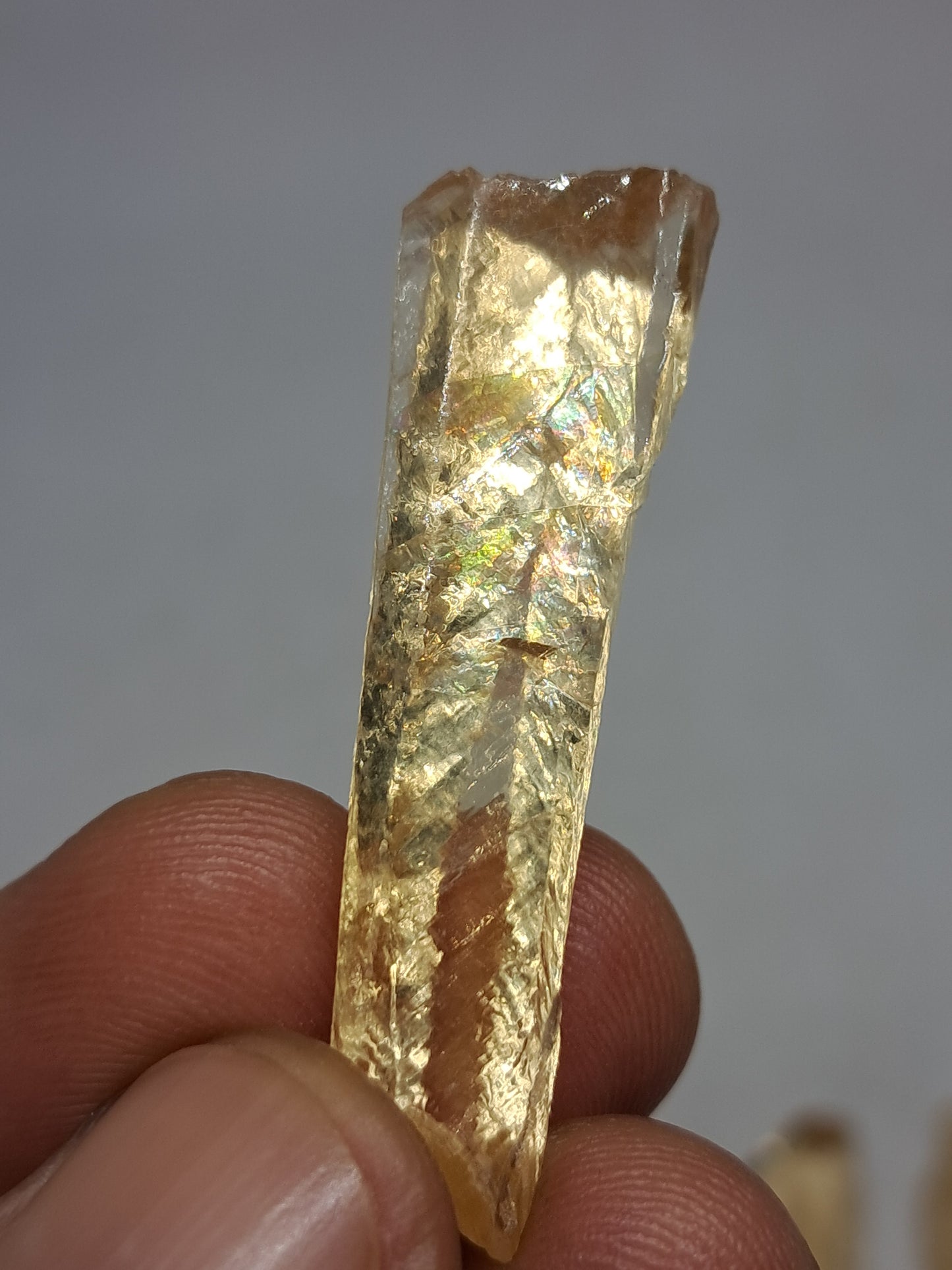 Golden Calcite (Ajanta) Rough Crystals | Naturally Terminated UV Reactive | Mineral Specimen #GC1