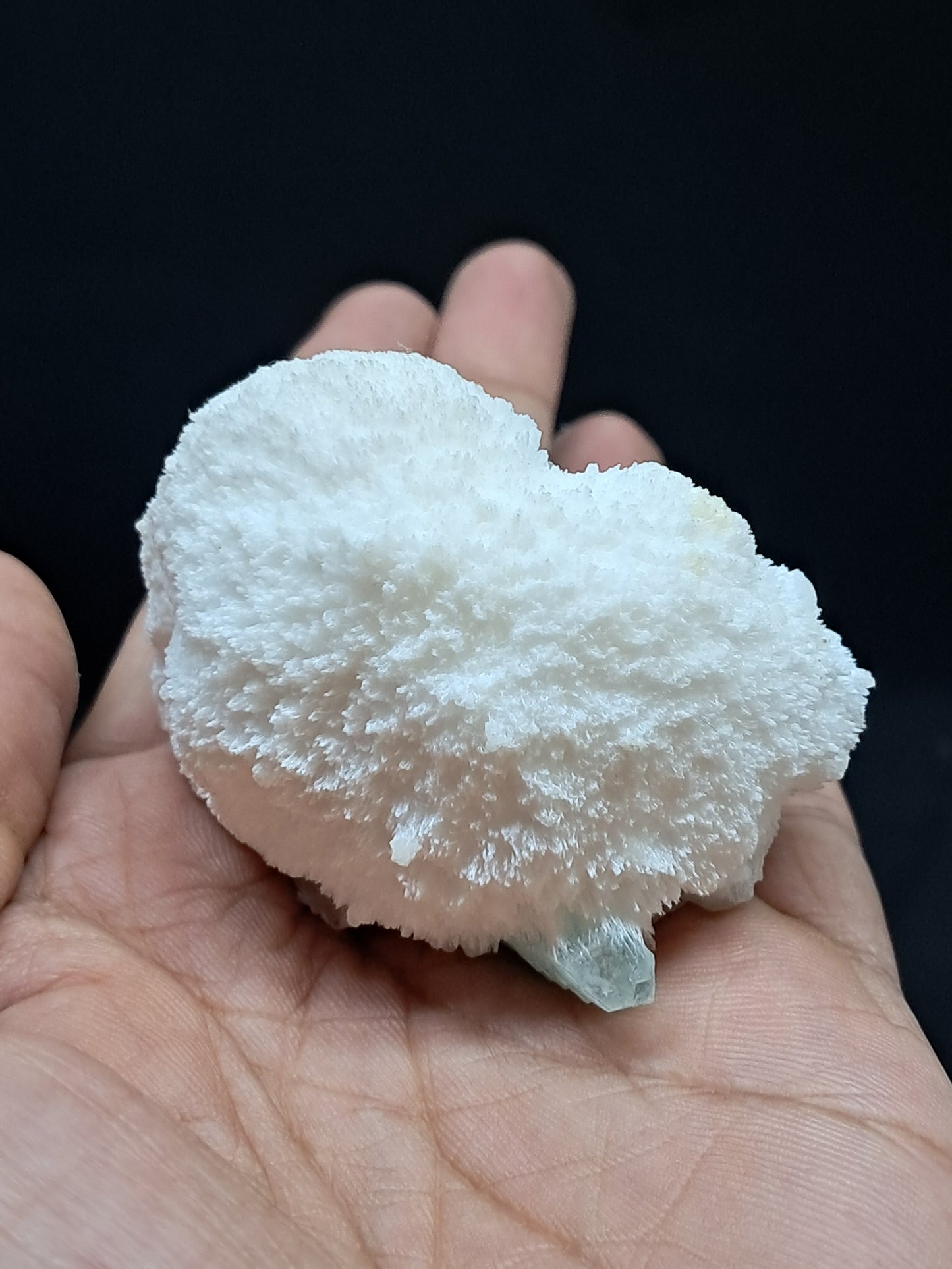 Green Apophyllite (Fluorapophyllite) on Mordenite (Aurangabad) Natural Crystal | Mineral Specimen #GA5