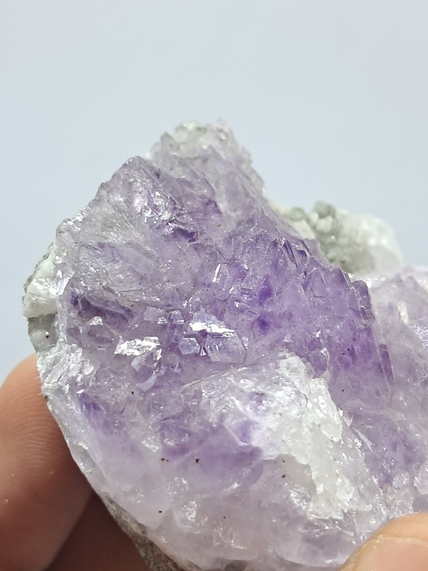 Amatista en racimo de cetro sobre matriz (Karur) Cristal de cuarzo lavanda | Piedra natural | Ejemplar mineral n.° KA74