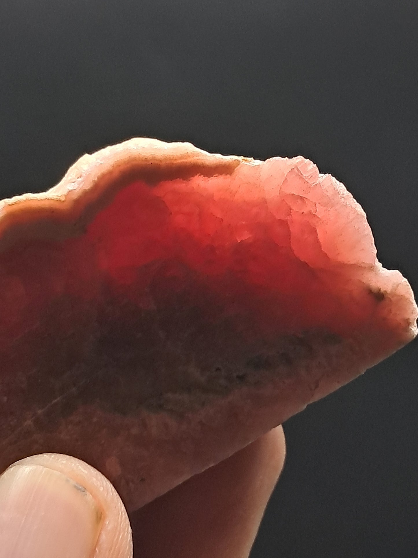 Rhodocrosite Rough Sliced (Argentina) Natural Stone | Rare Mineral #RHD1