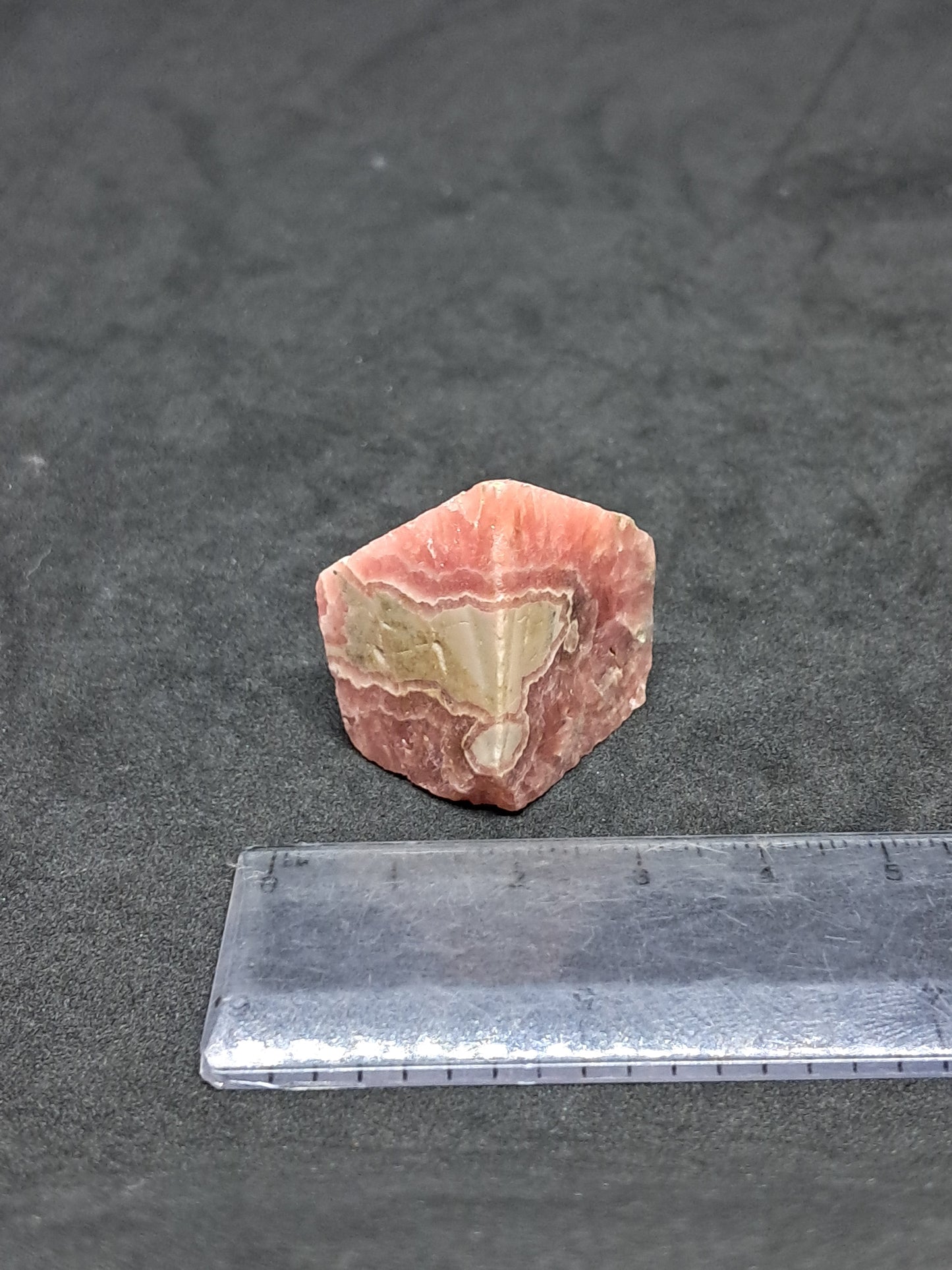 Rhodocrosite Rough Sliced (Argentina) Natural Stone | Rare Mineral #RHD3