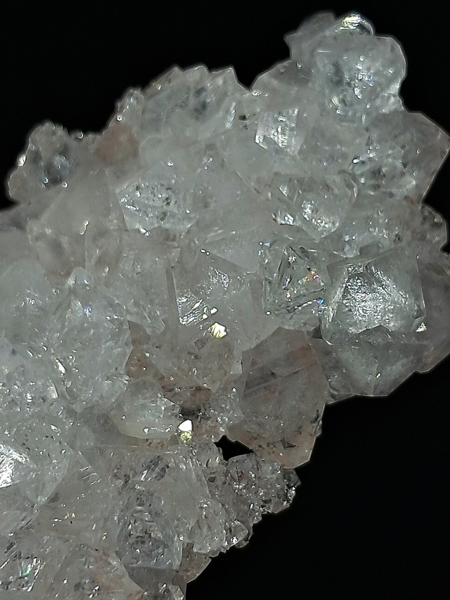 Octahedral Apophyllite Floater Cluster w/ Hematite (Ajanta) Natural Crystal | Mineral Specimen #AP33
