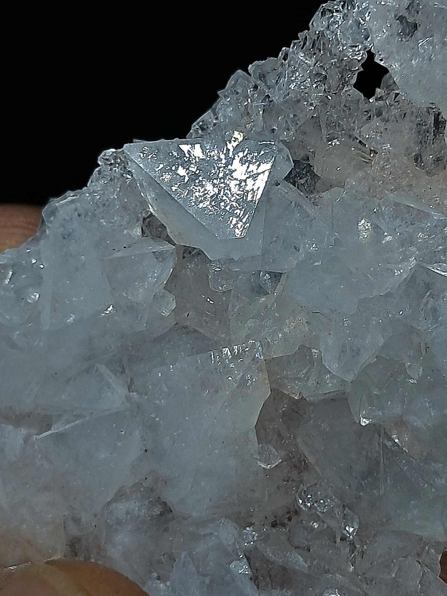 Octahedral Apophyllite Floater Cluster w/ Hematite (Ajanta) Natural Crystal | Mineral Specimen #AP33