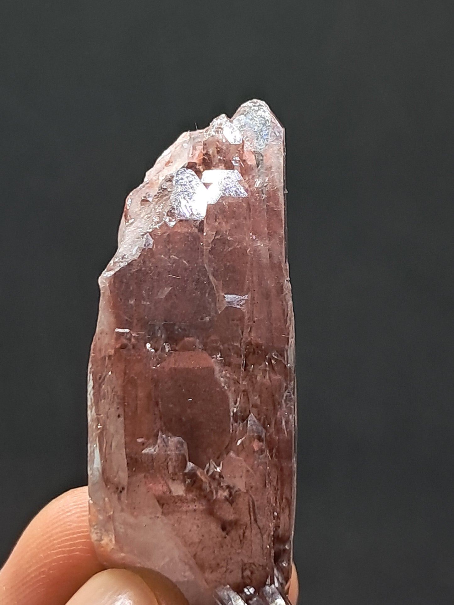 Cuarzo Elestial Fantasma de Hematita (Telangana) Punta de Cristal Natural | Ejemplar Mineral n.° HPQ23