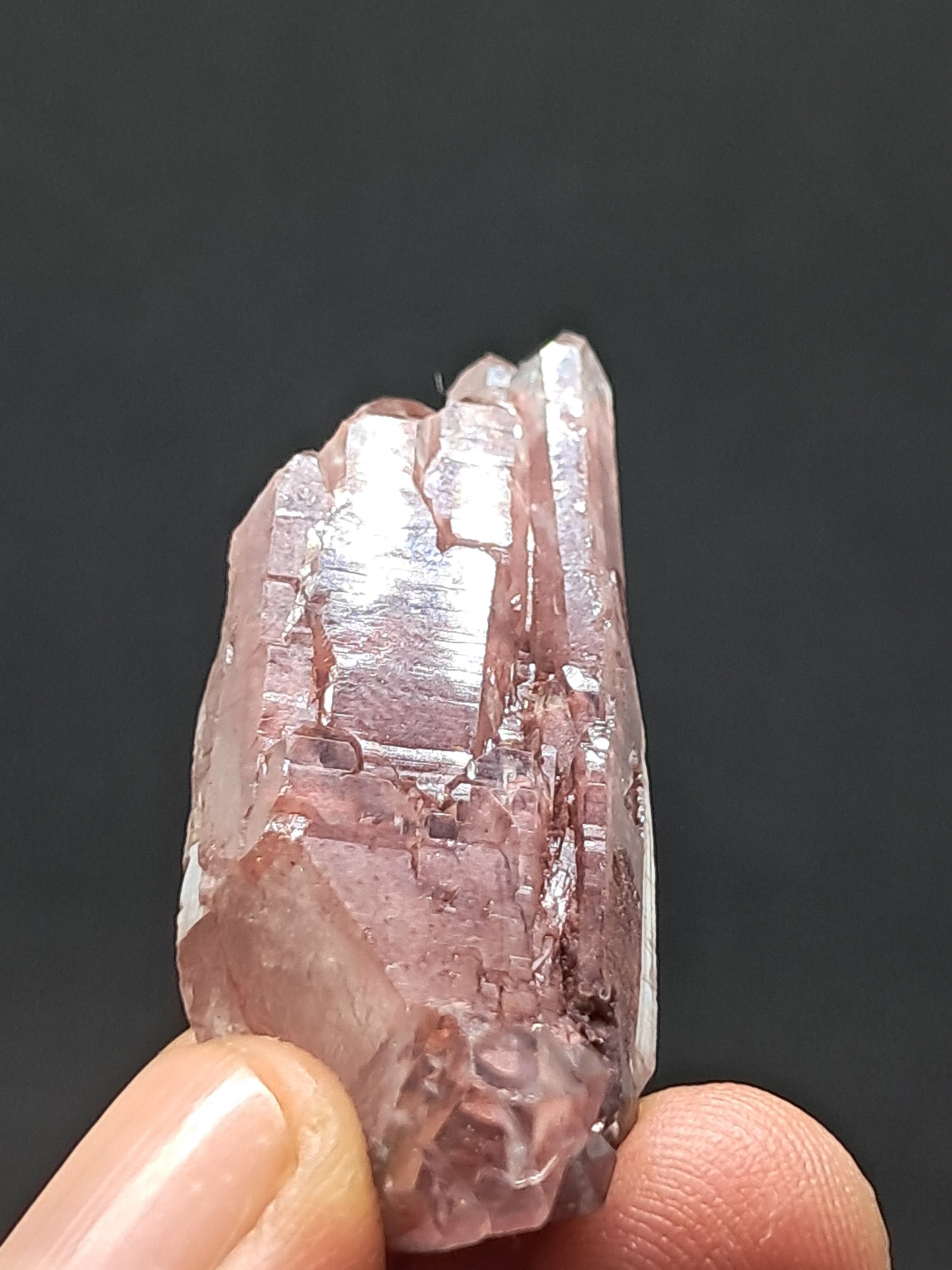 Cuarzo Elestial Fantasma de Hematita (Telangana) Punta de Cristal Natural | Ejemplar Mineral n.° HPQ23