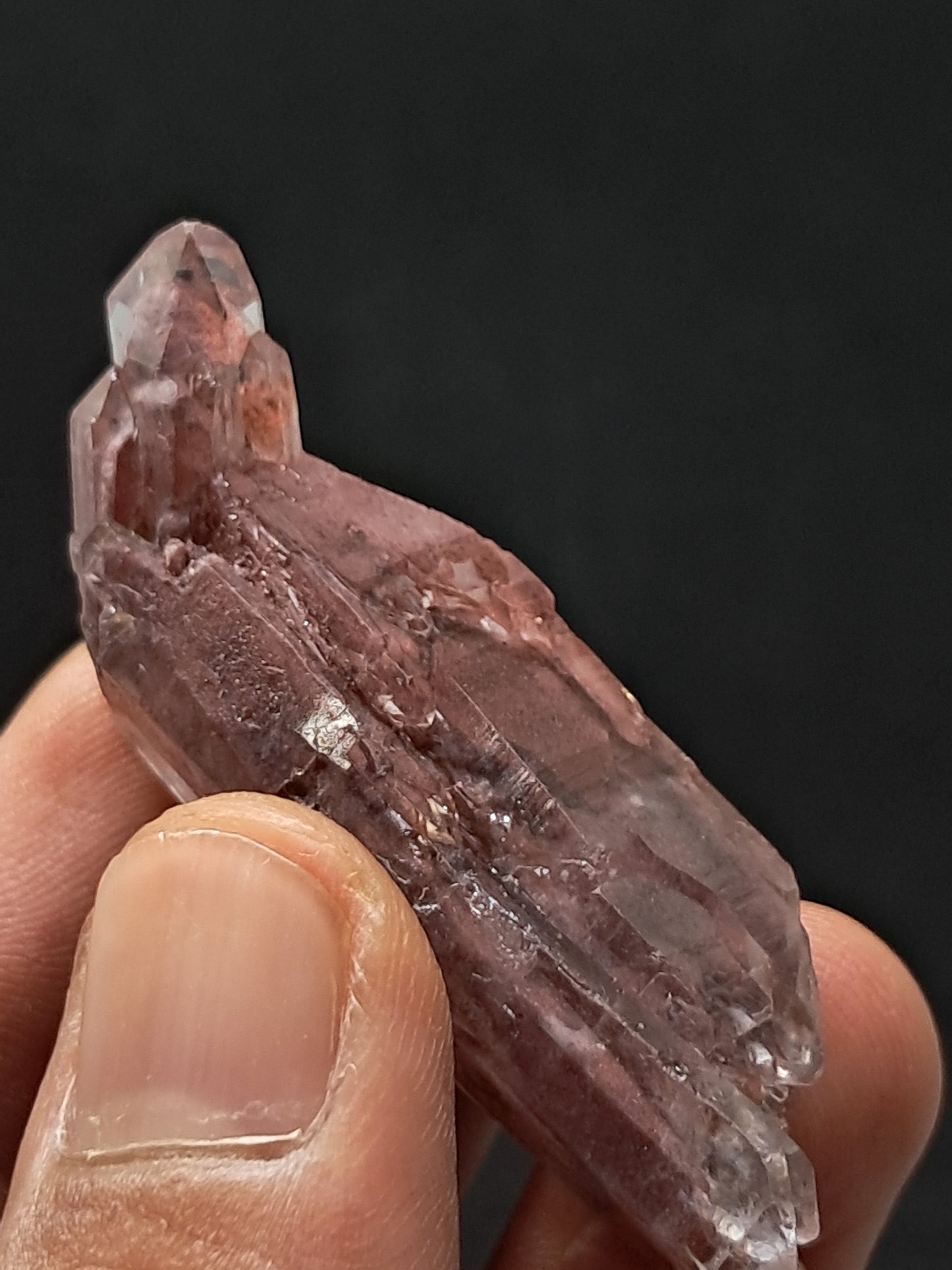 Cuarzo Elestial Fantasma de Hematita (Telangana) Punta de Cristal Natural | Ejemplar Mineral n.° HPQ23
