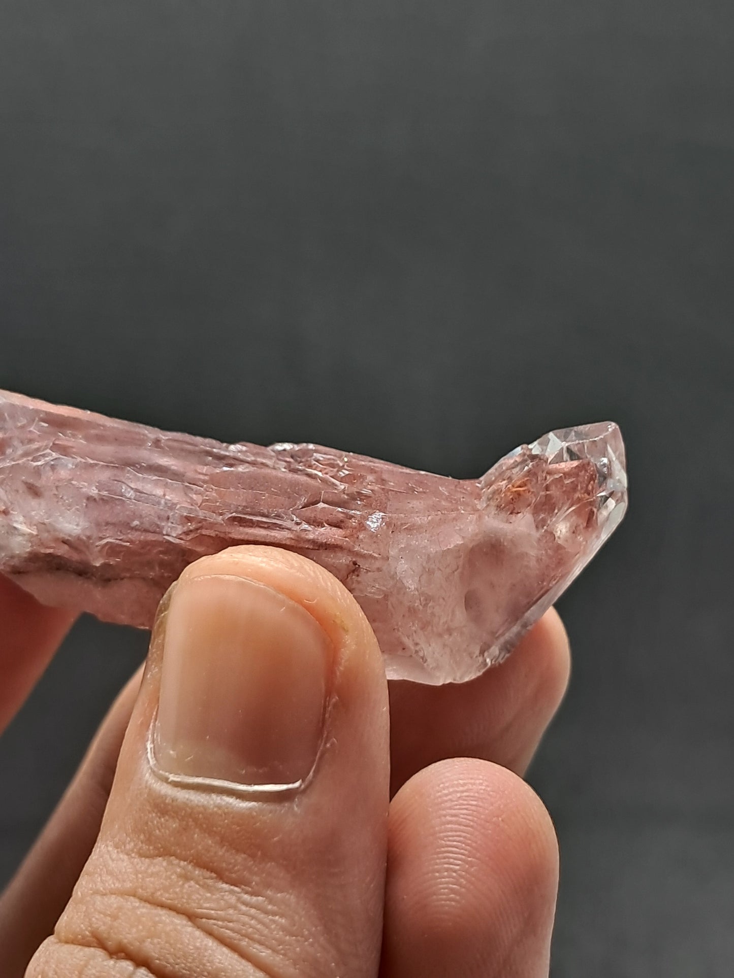 Cuarzo Elestial Fantasma de Hematita (Telangana) Punta de Cristal Natural | Ejemplar Mineral n.° HPQ23