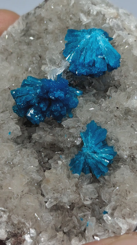 Tres Cavansitas sobre matriz de Heulandita (Wagholi) Mineral Exótico | Cristal Natural | Espécimen en Bruto n.° CV9