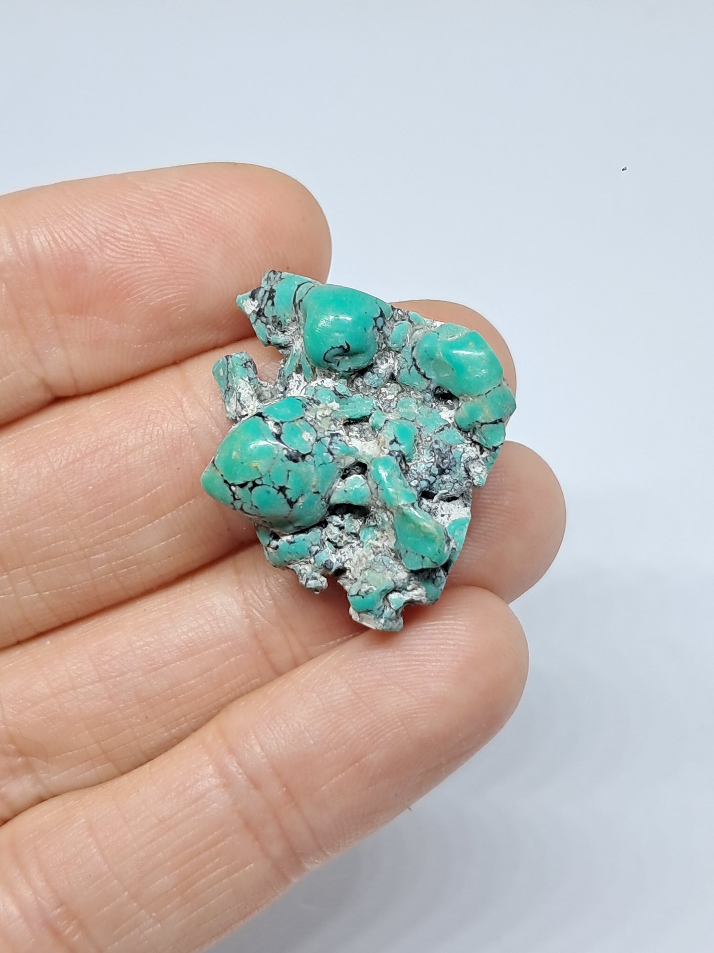 Tibetan Turquoise Stabilized Natural Stone | Mineral Specimen #TT8