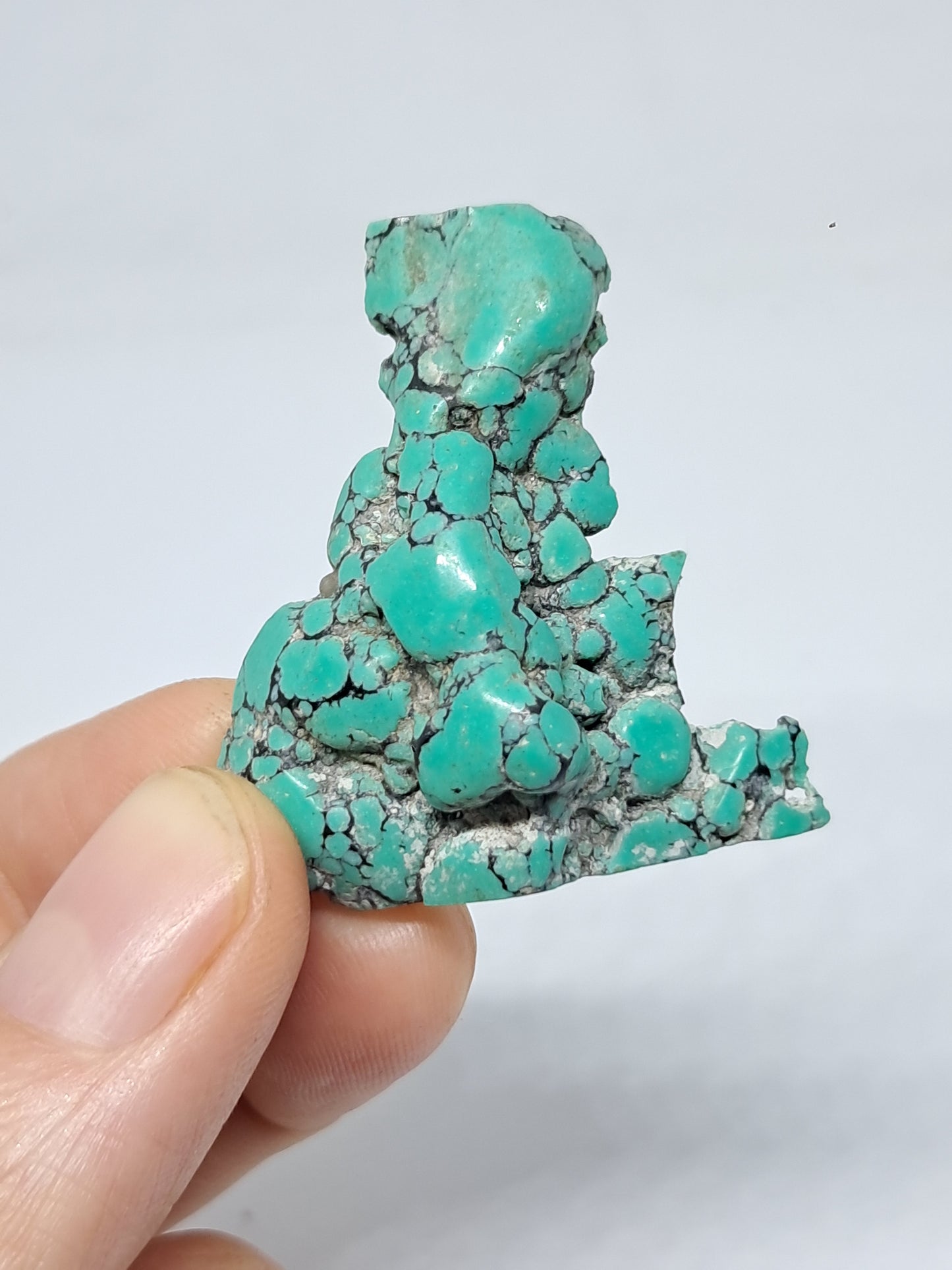 Natural Tibetan Turquoise (Non-precious stone) #TT2