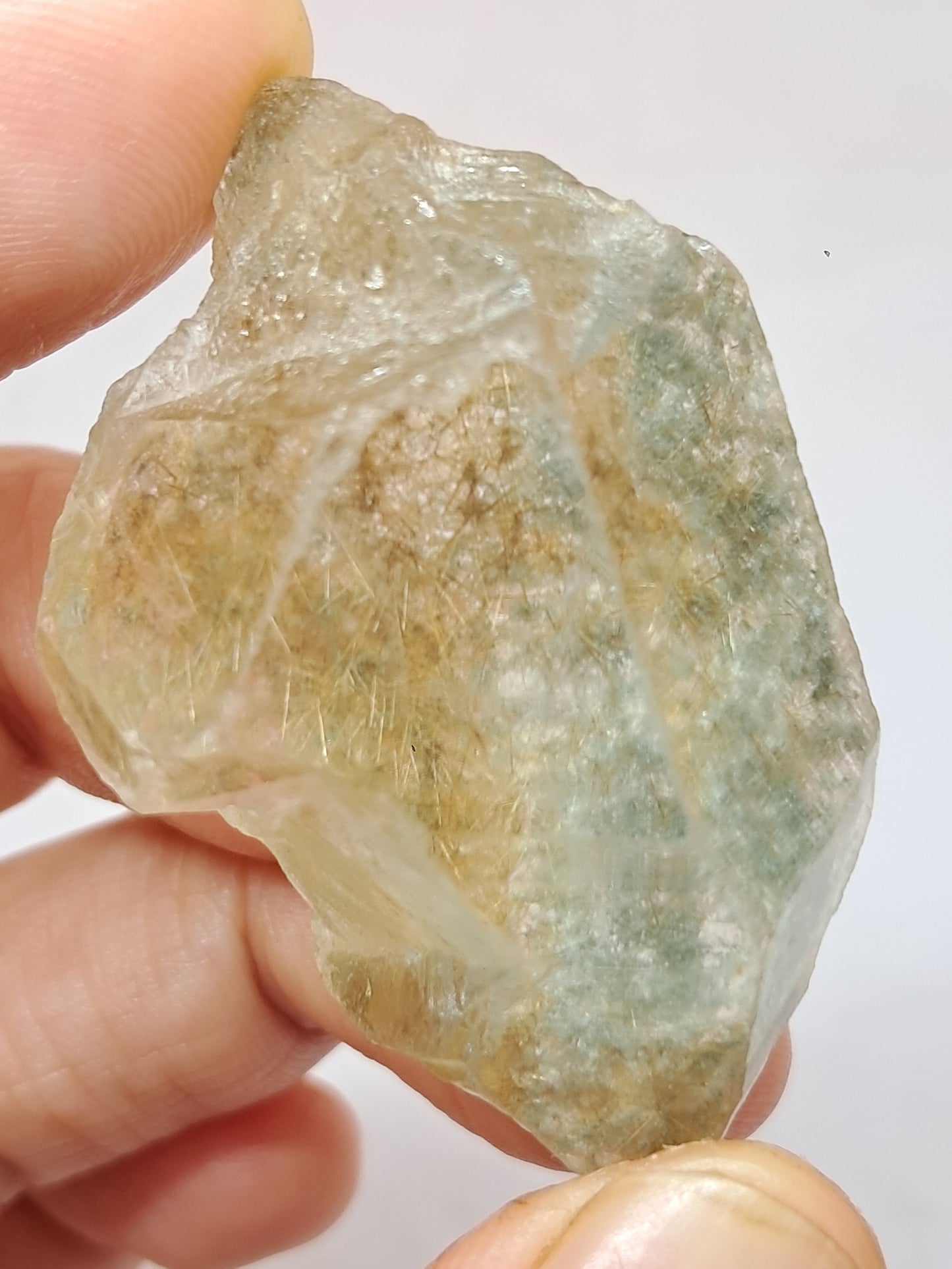 Quartz w/ Chlorite and Golden Rutile Inclusions (Himachal Pradesh) Rough Stone | Natural Crystal | Mineral Specimen #CH40