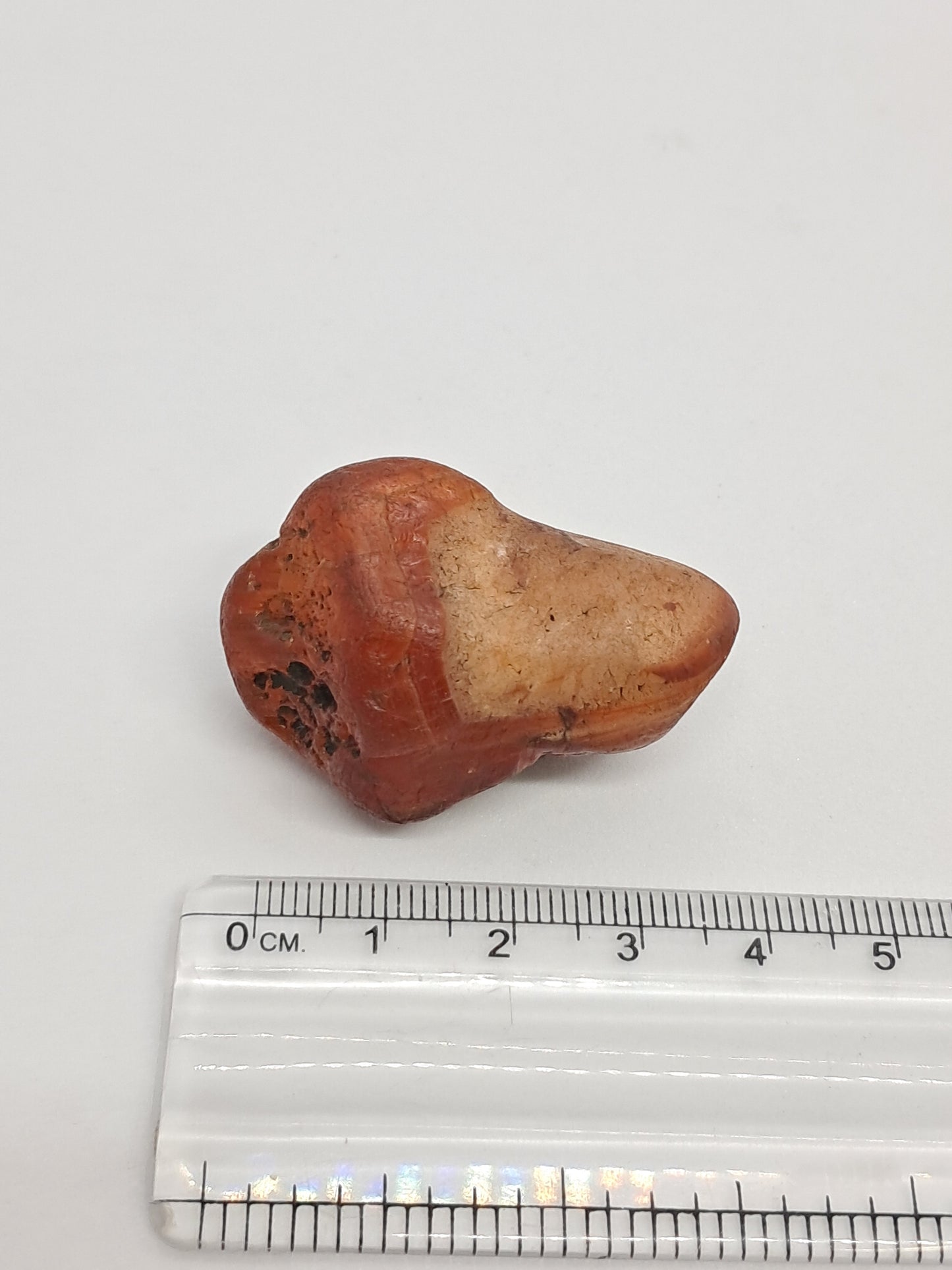 Rough Carnelian (India) Raw Stone | Natural Crystal | Mineral Specimen #CRN7