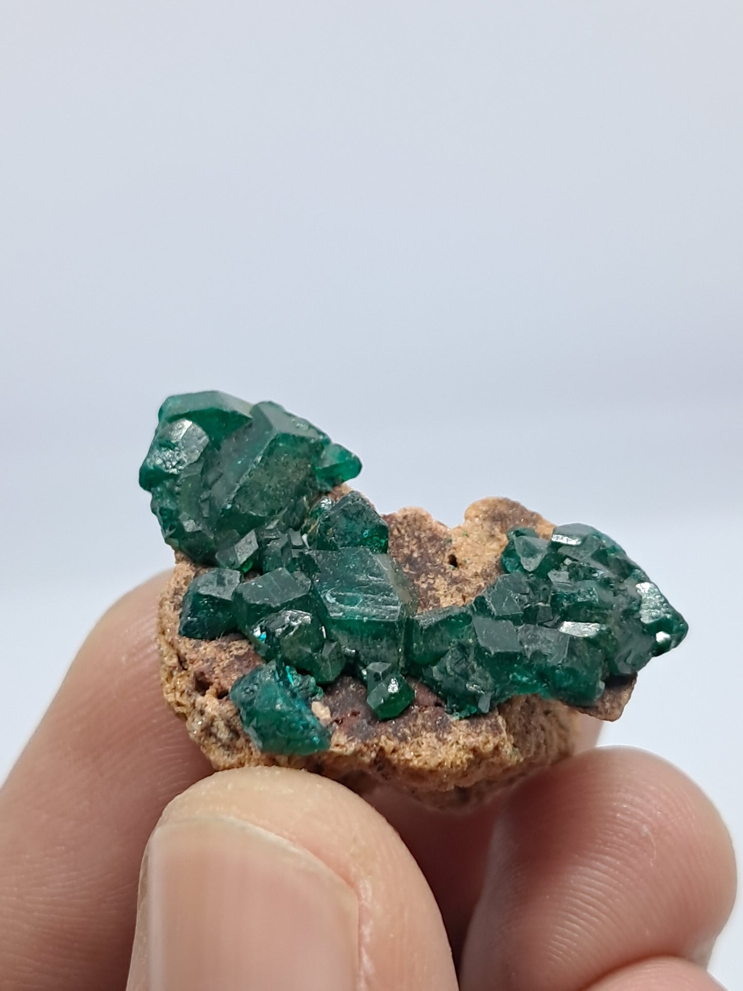 Dioptase on Matrix (Democratic Republic of Congo) Natural Cluster | Rough Crystal | Mineral Specimen) #DPT8