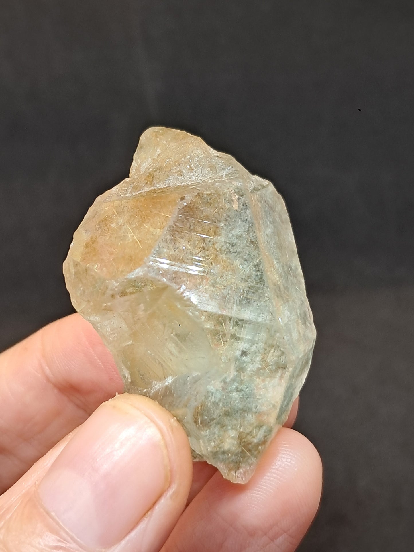 Quartz w/ Chlorite and Golden Rutile Inclusions (Himachal Pradesh) Rough Stone | Natural Crystal | Mineral Specimen #CH40