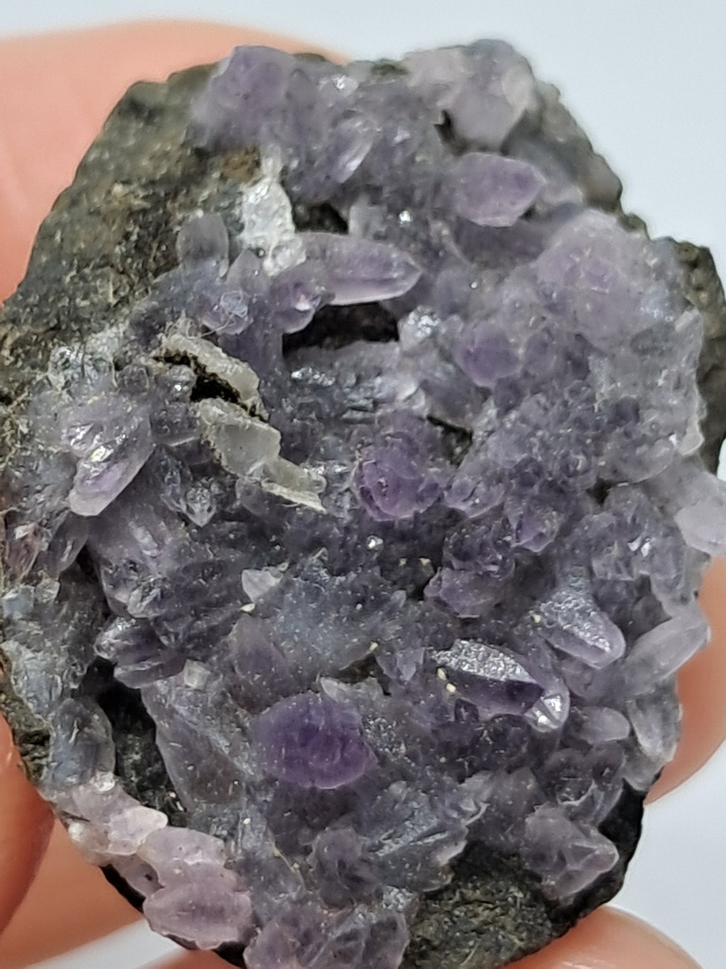 "Dog tooth" Amethyst on Basalt (Non-precious mineral) #DTA5