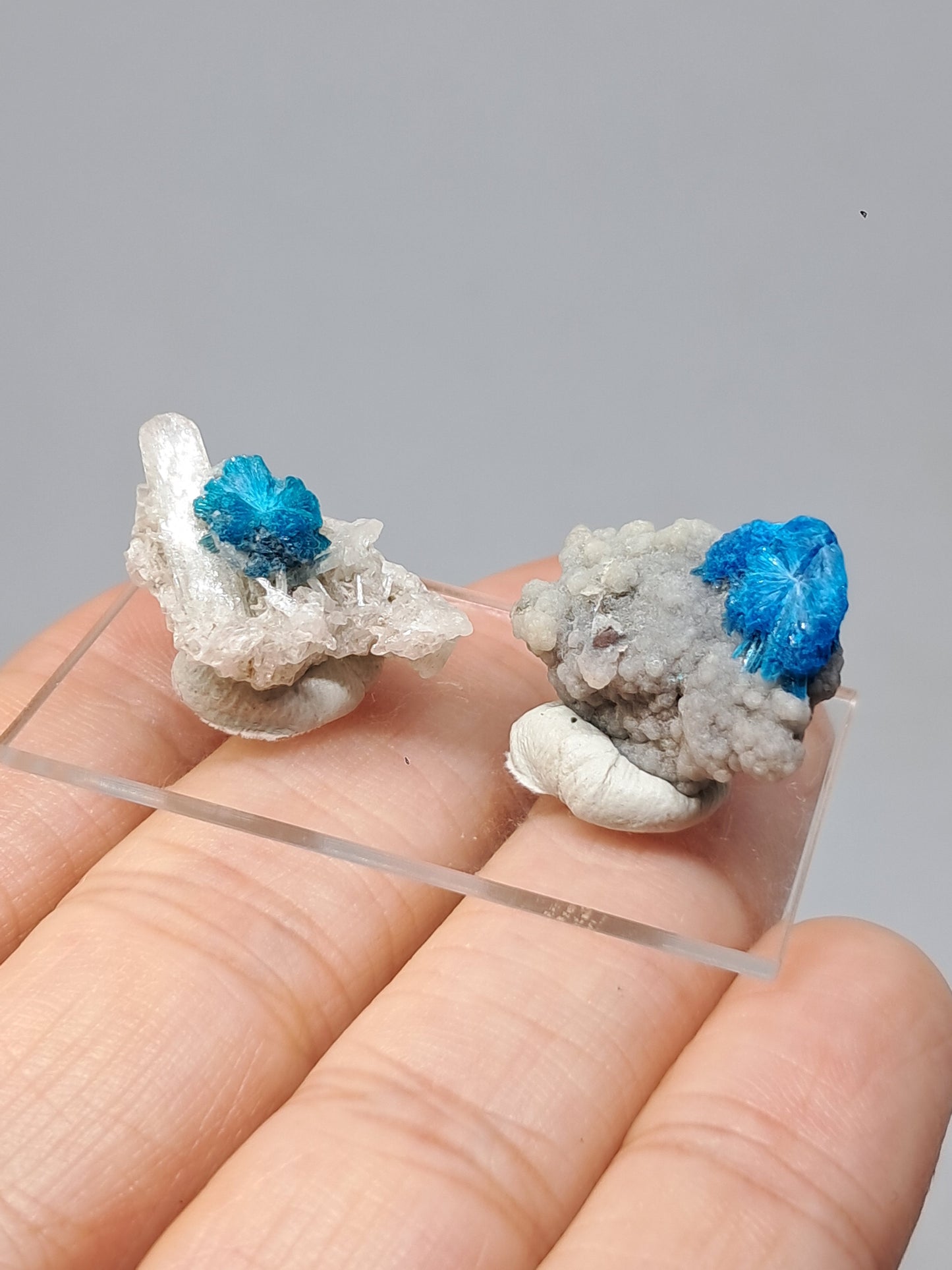 Set of Cavansite & Pentagonite on Matrix (Wagholi) Rough Stone | Natural Crystal | Rare Mineral Specimen #CV41