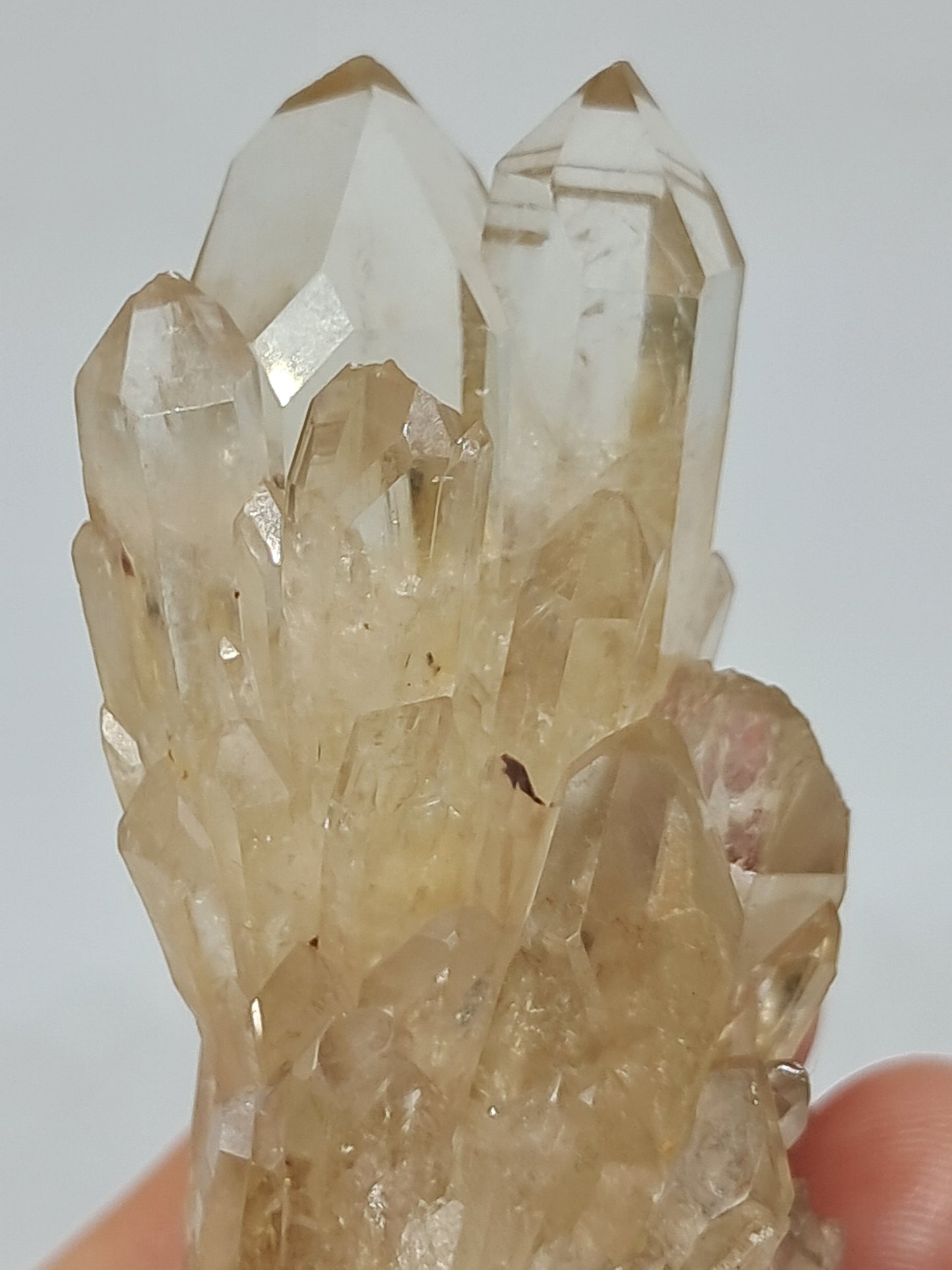 Natural Citrine "Kundalini" (Democratic Republic of Congo) Crystal Point | Mineral Specimen #CTN9