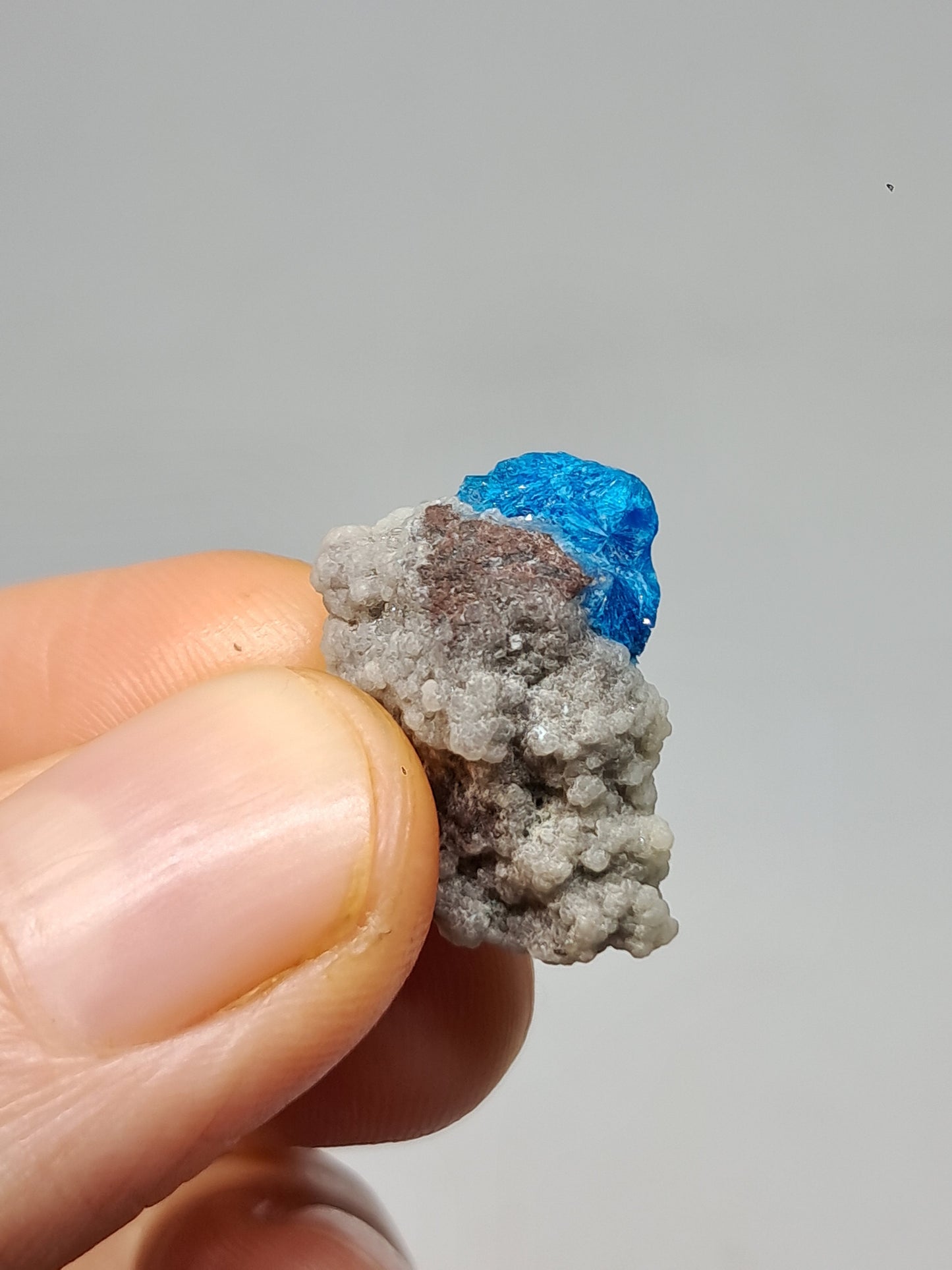 Set of Cavansite & Pentagonite on Matrix (Wagholi) Rough Stone | Natural Crystal | Rare Mineral Specimen #CV41