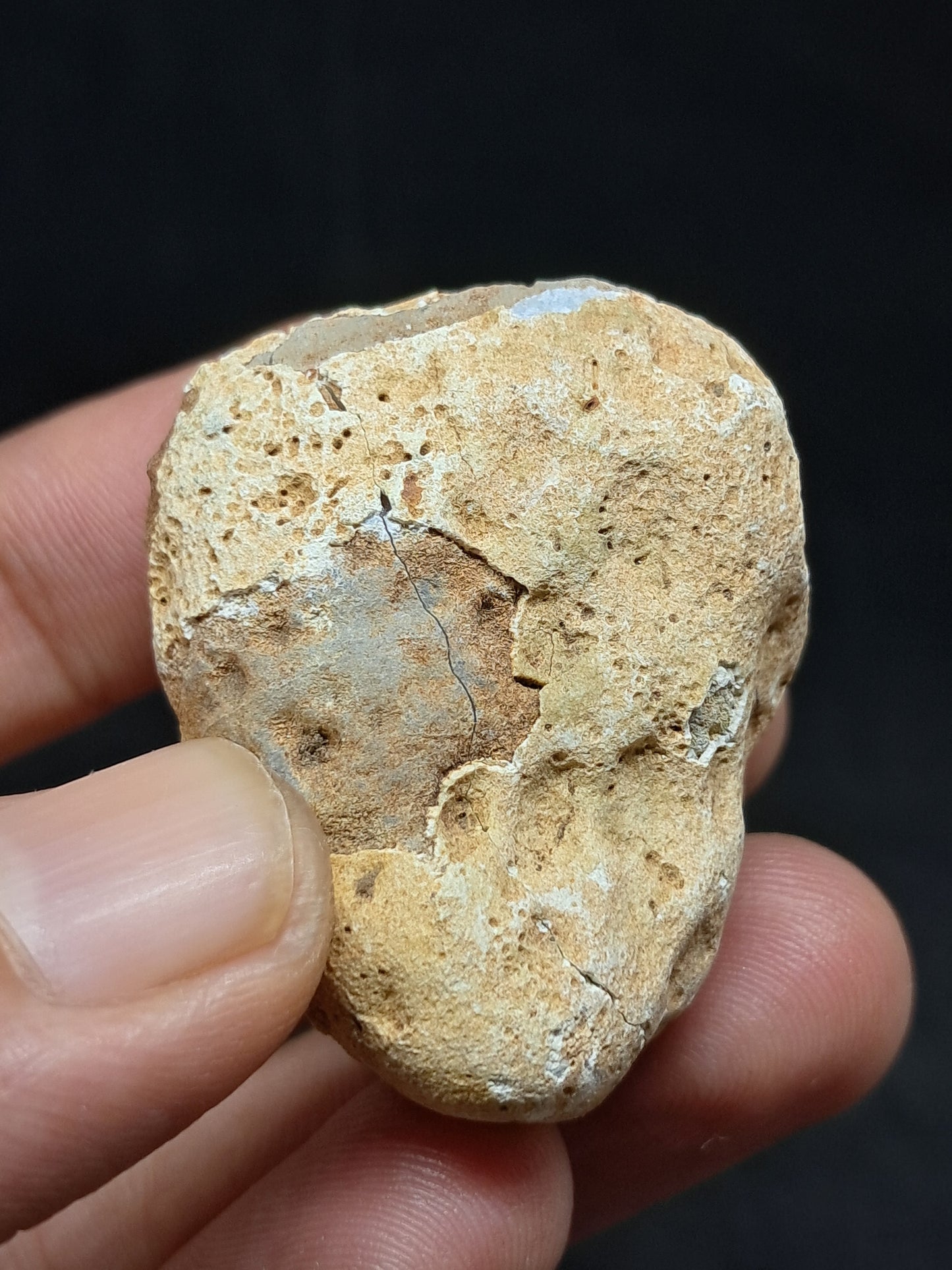 Quartz Geode (Ajanta) Rough Stone | Natural Crystal #GD16