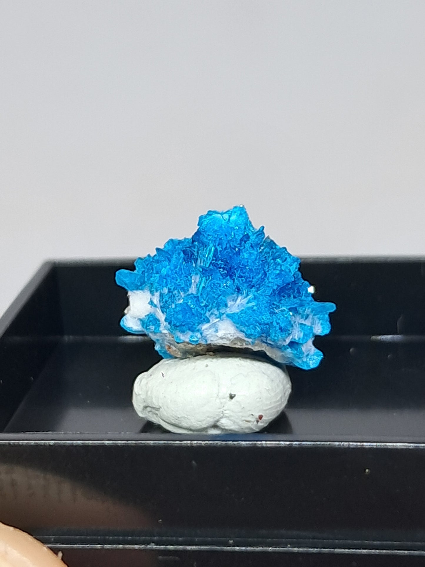 Pentagonite (Pune) Rough Stone | Natural Crystal | Rare Mineral Specimen #CV56