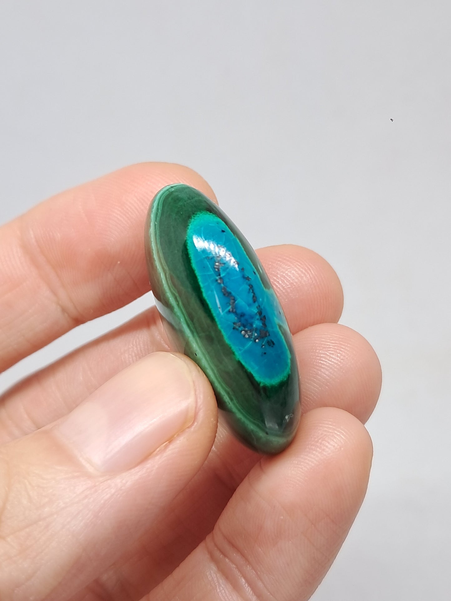 Chrysocolla Malachite Palmstone (Democratic Republic of Congo) Polished Natural Stone