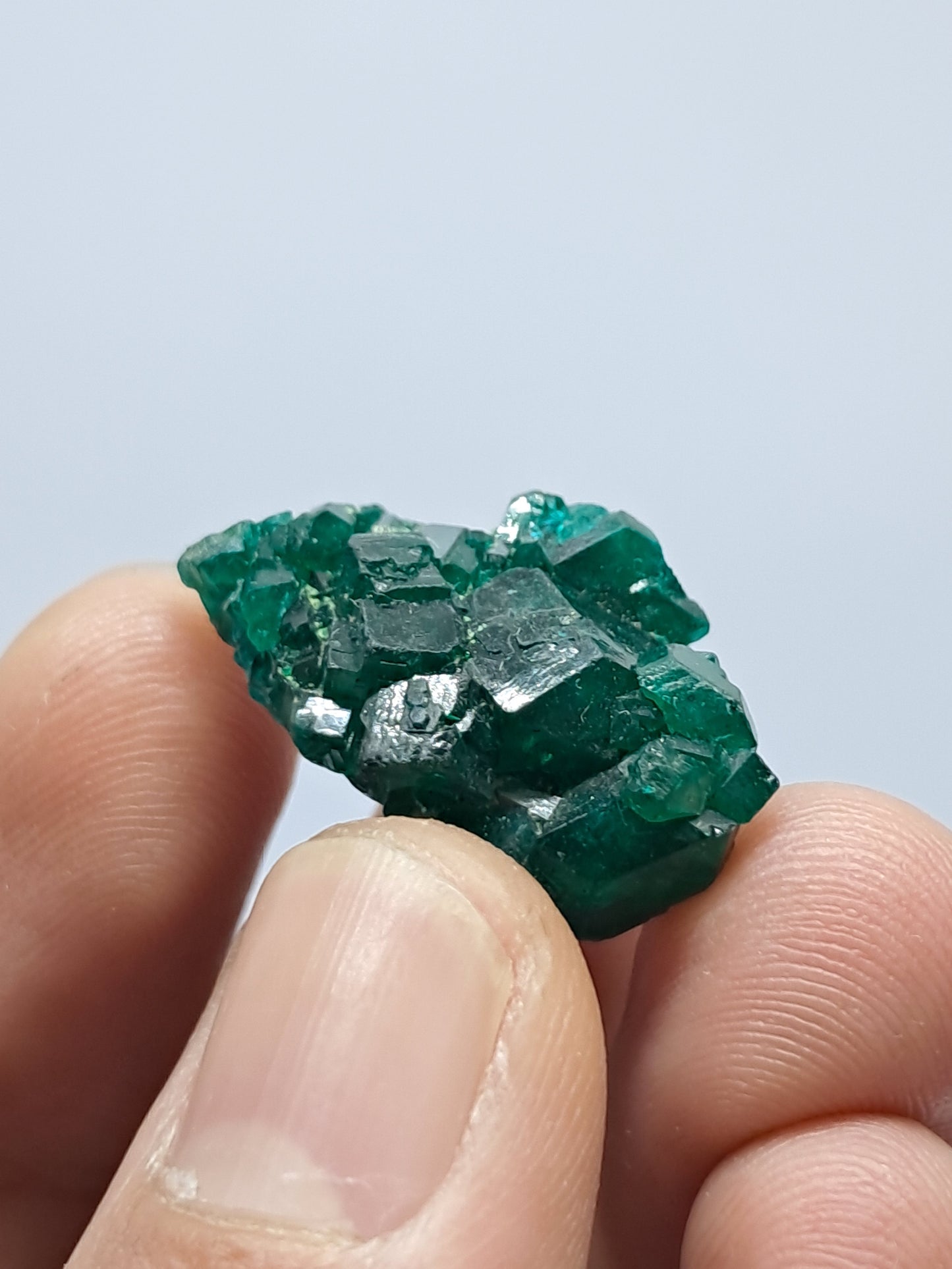 Dioptase (Democratic Republic of Congo) Natural Cluster | Rough Crystal | Mineral Specimen #DPT3