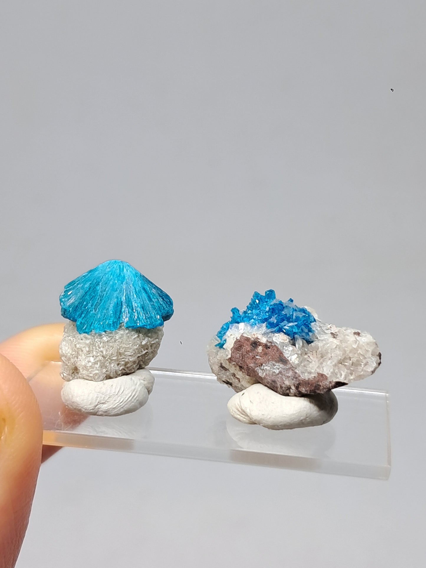 Set of Cavansite & Pentagonite on Matrix (Wagholi) Rough Stone | Natural Crystal | Rare Mineral Specimen #CV40