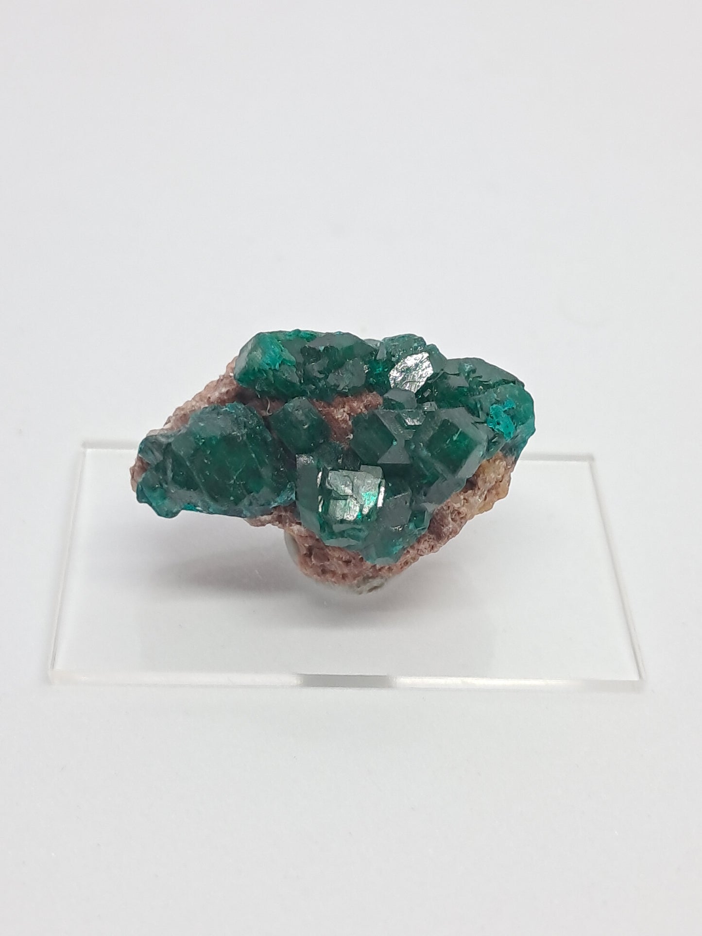 Dioptase (Democratic Republic of Congo) Natural Cluster | Rough Crystal | Mineral Specimen #DPT9