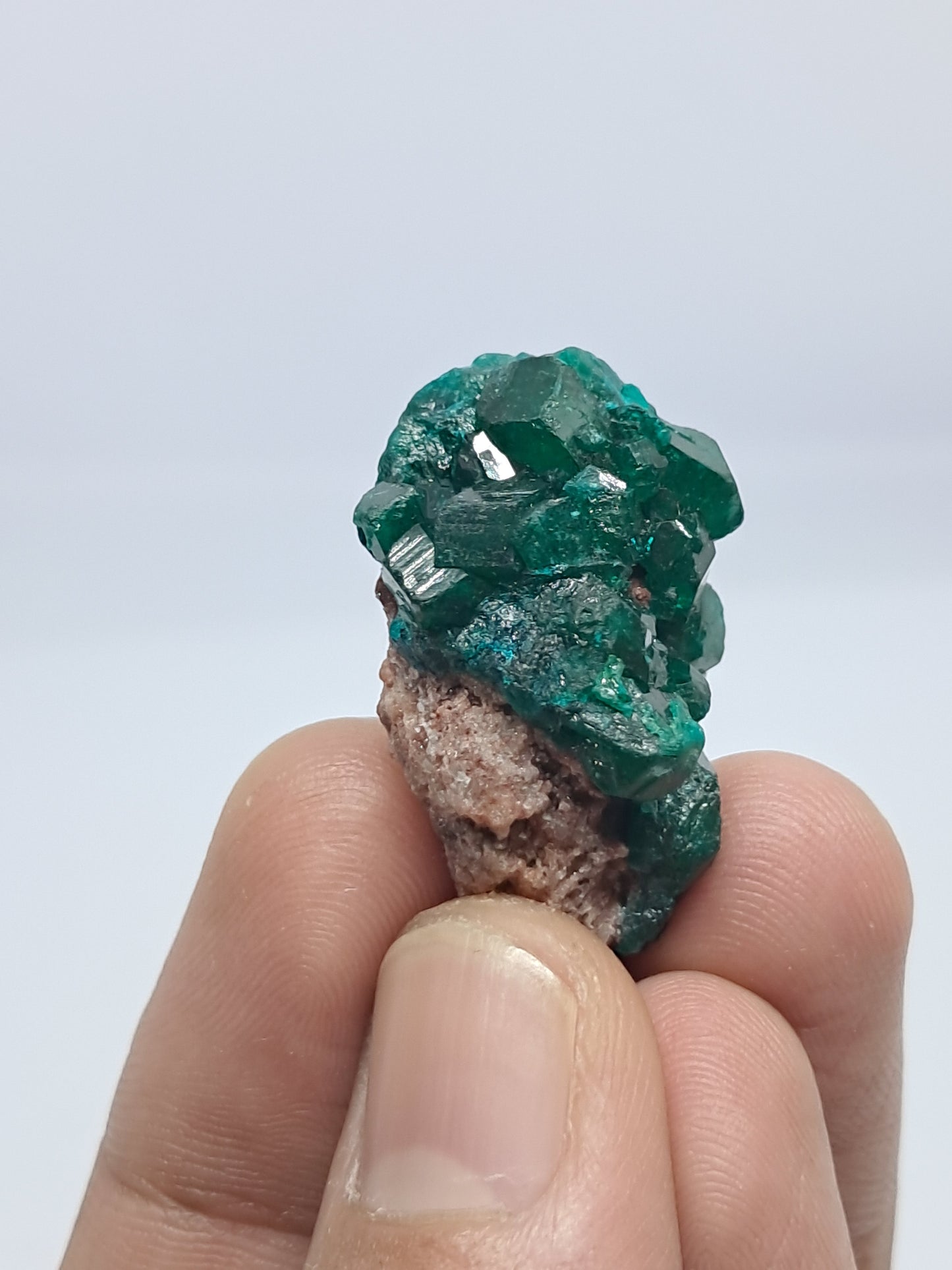 Dioptase (Democratic Republic of Congo) Natural Cluster | Rough Crystal | Mineral Specimen #DPT9