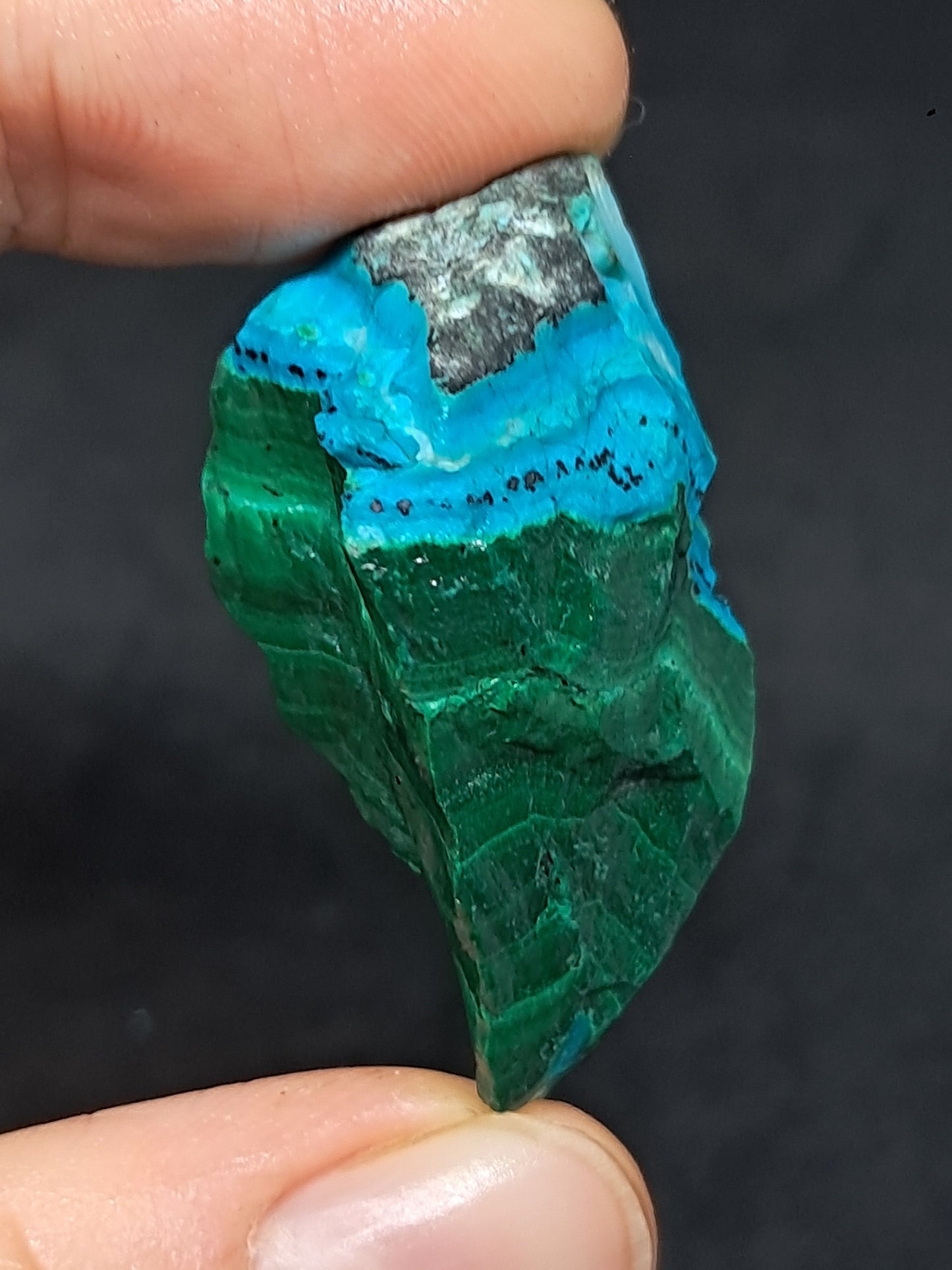 Chrysocolla Malachite (Democratic Republic of Congo) Raw Stone | Rough Crystal | Natural Mineral Specimen #CM8