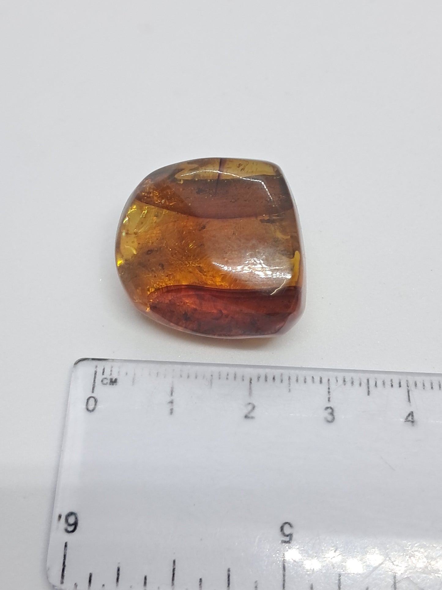 Polished Amber (Mexico) Natural Fossilized Resin | Mineral Specimen #AB2