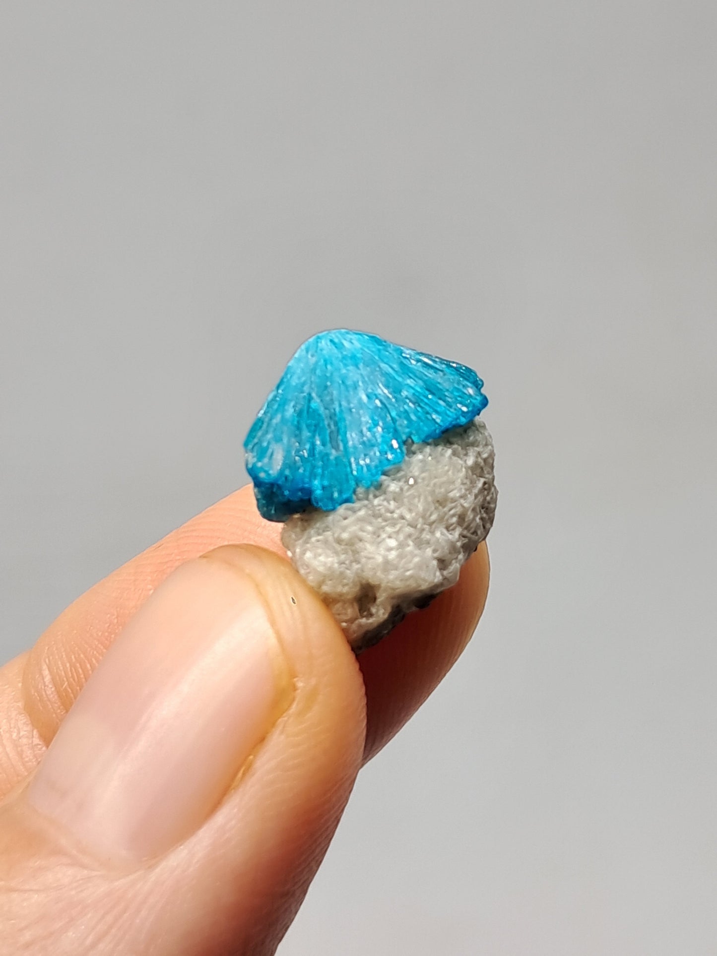 Set of Cavansite & Pentagonite on Matrix (Wagholi) Rough Stone | Natural Crystal | Rare Mineral Specimen #CV40