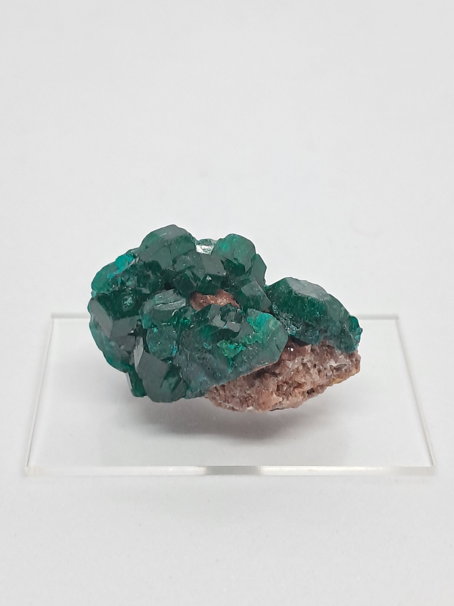 Dioptase (Democratic Republic of Congo) Natural Cluster | Rough Crystal | Mineral Specimen #DPT9