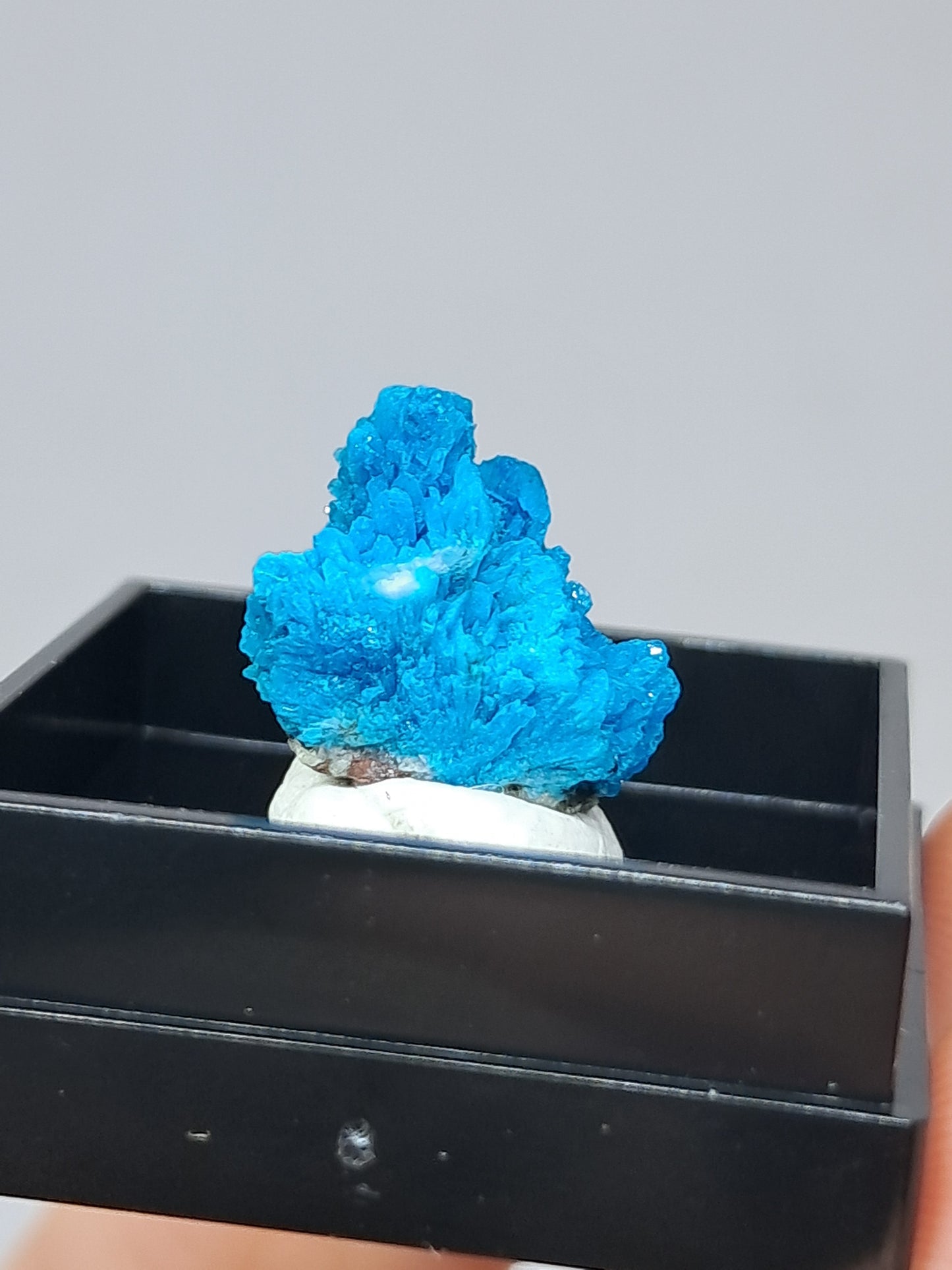 Pentagonite (Wagholi) Rough Stone | Natural Crystal | Rare Mineral Specimen #CV50