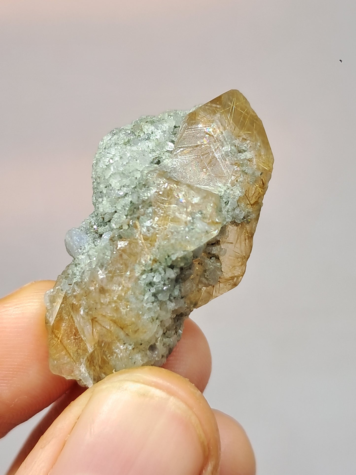 Quartz w/ Chlorite and Golden Rutile Inclusions (Kullu) Rough Stone | Natural Crystal Point | Mineral Specimen #CH42