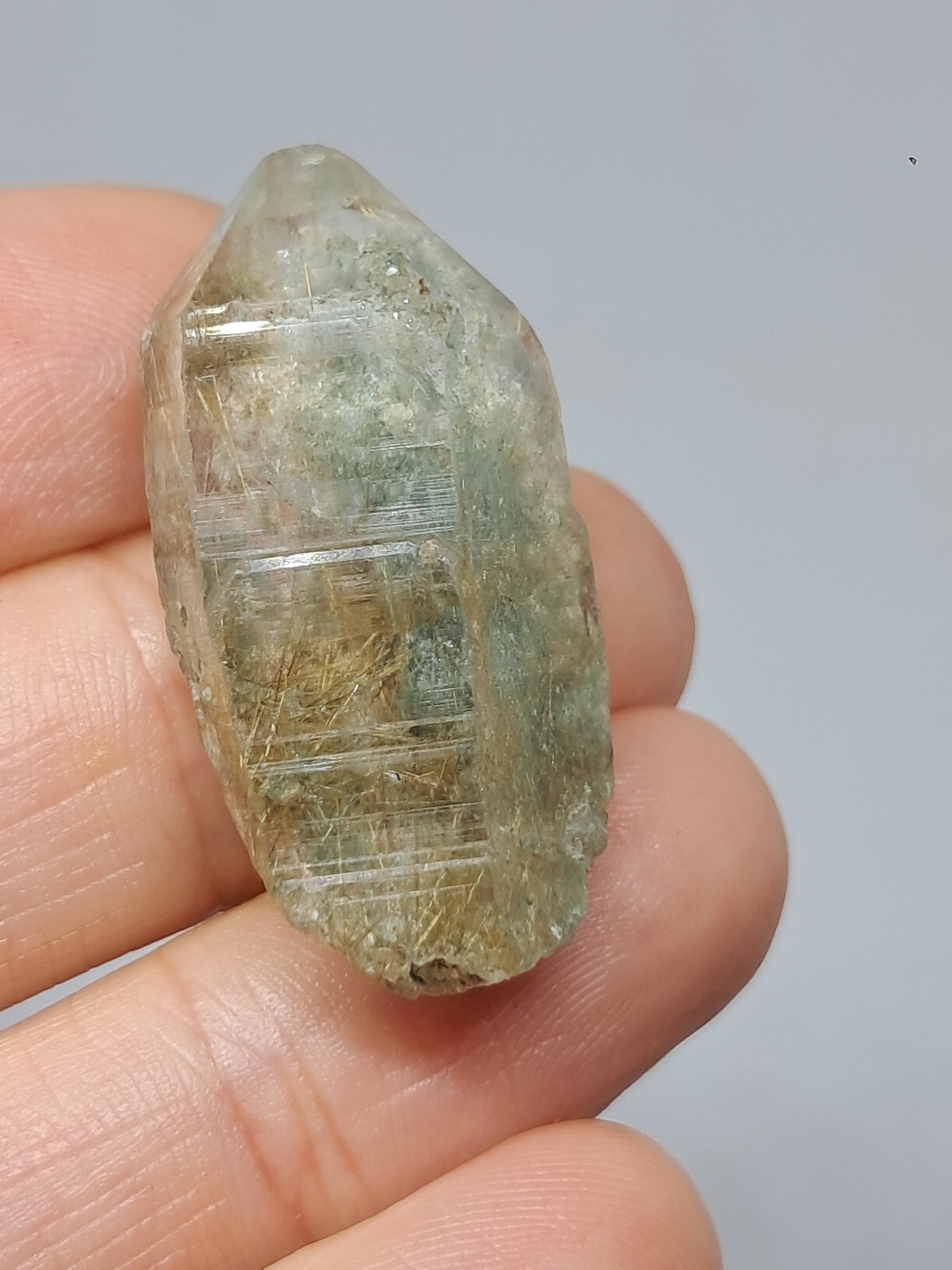 Quartz w/ Chlorite and Golden Rutile Inclusions (Kullu) Rough Stone | Natural Crystal Point | Mineral Specimen #CH47