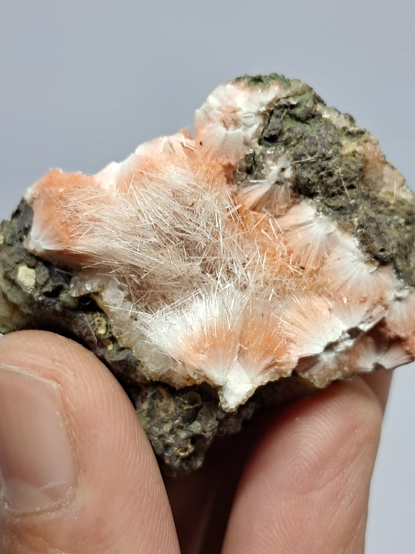 Mesolite w/ Hematite Inclusion (Madhya Pradesh) Natural Crystal| Mineral Specimen #MS16