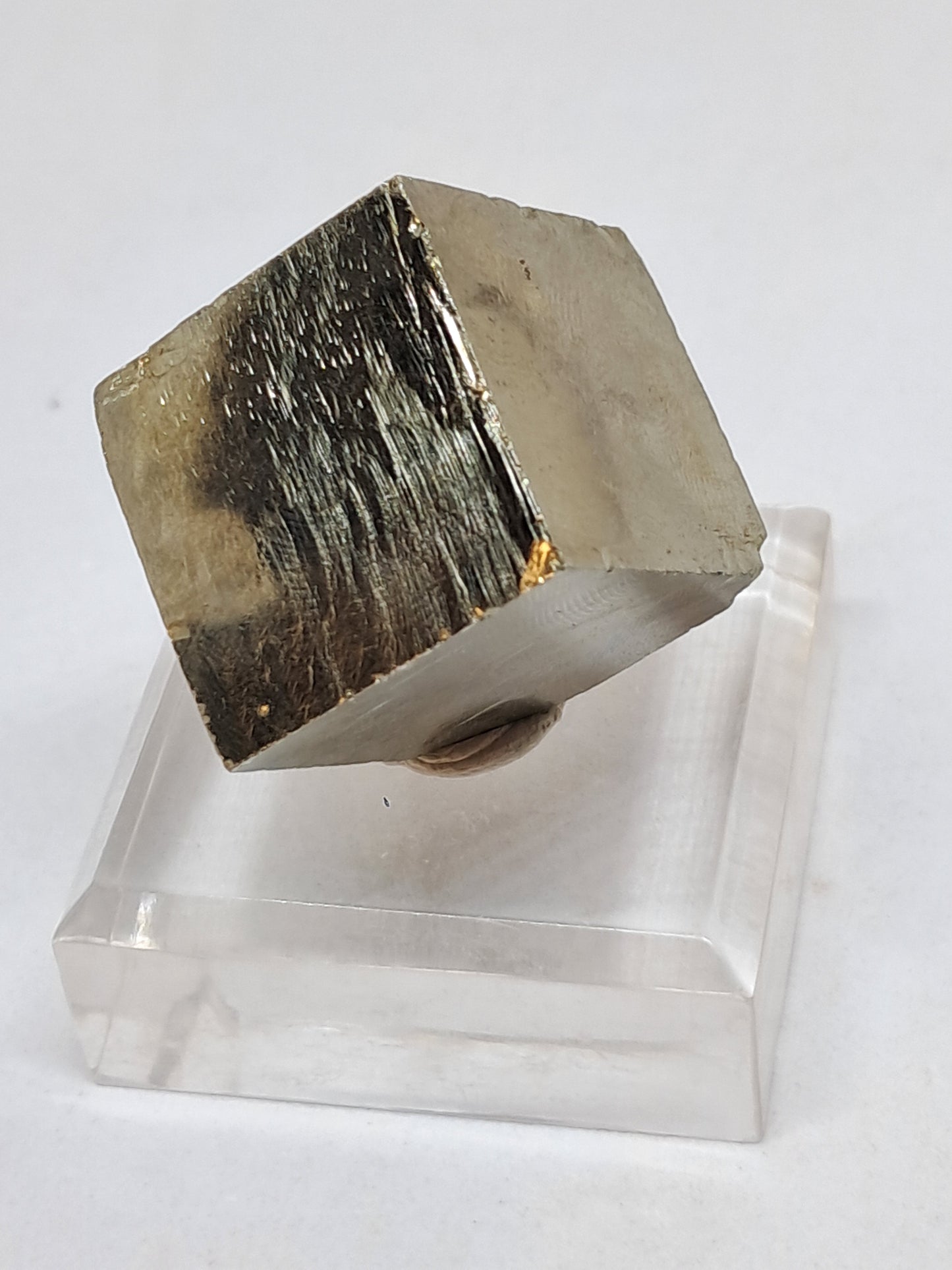 Pirita en bruto (España), cristal natural | Calidad de coleccionista n.° PR18