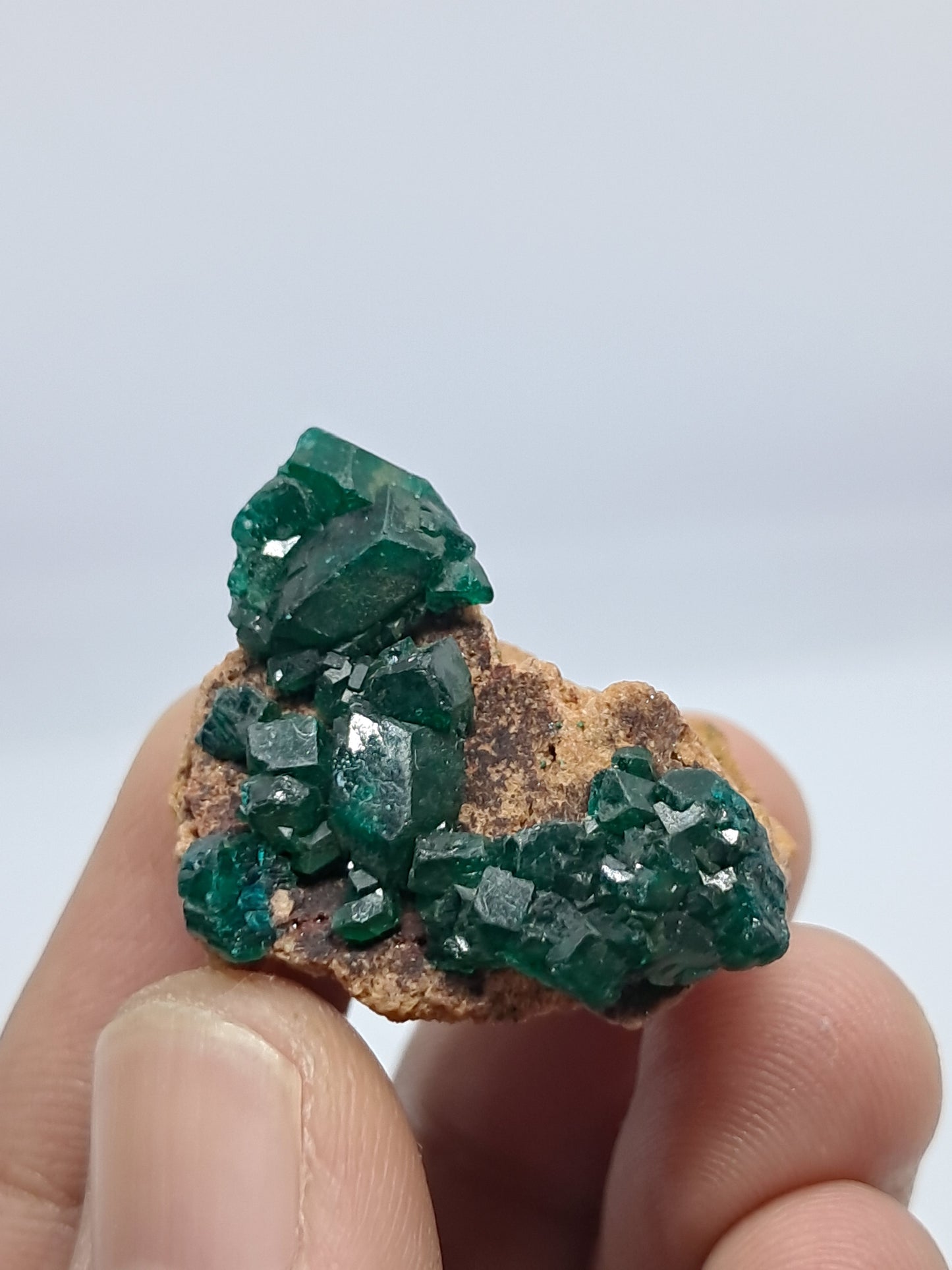 Dioptase on Matrix (Democratic Republic of Congo) Natural Cluster | Rough Crystal | Mineral Specimen) #DPT8