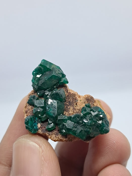 Dioptase on Matrix (Democratic Republic of Congo) Natural Cluster | Rough Crystal | Mineral Specimen) #DPT8